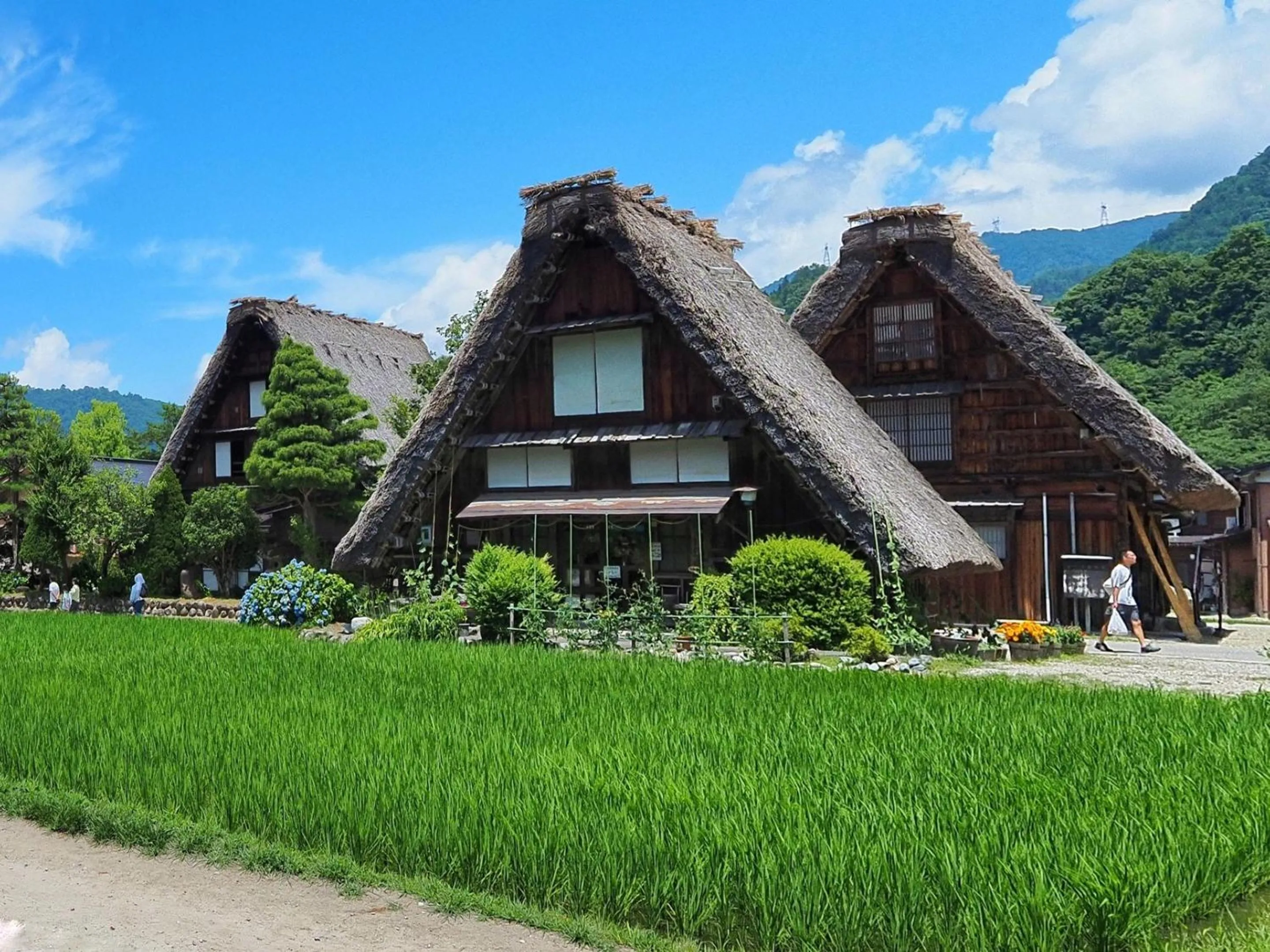 Nearby landmark in Chez-soi Wakamiya