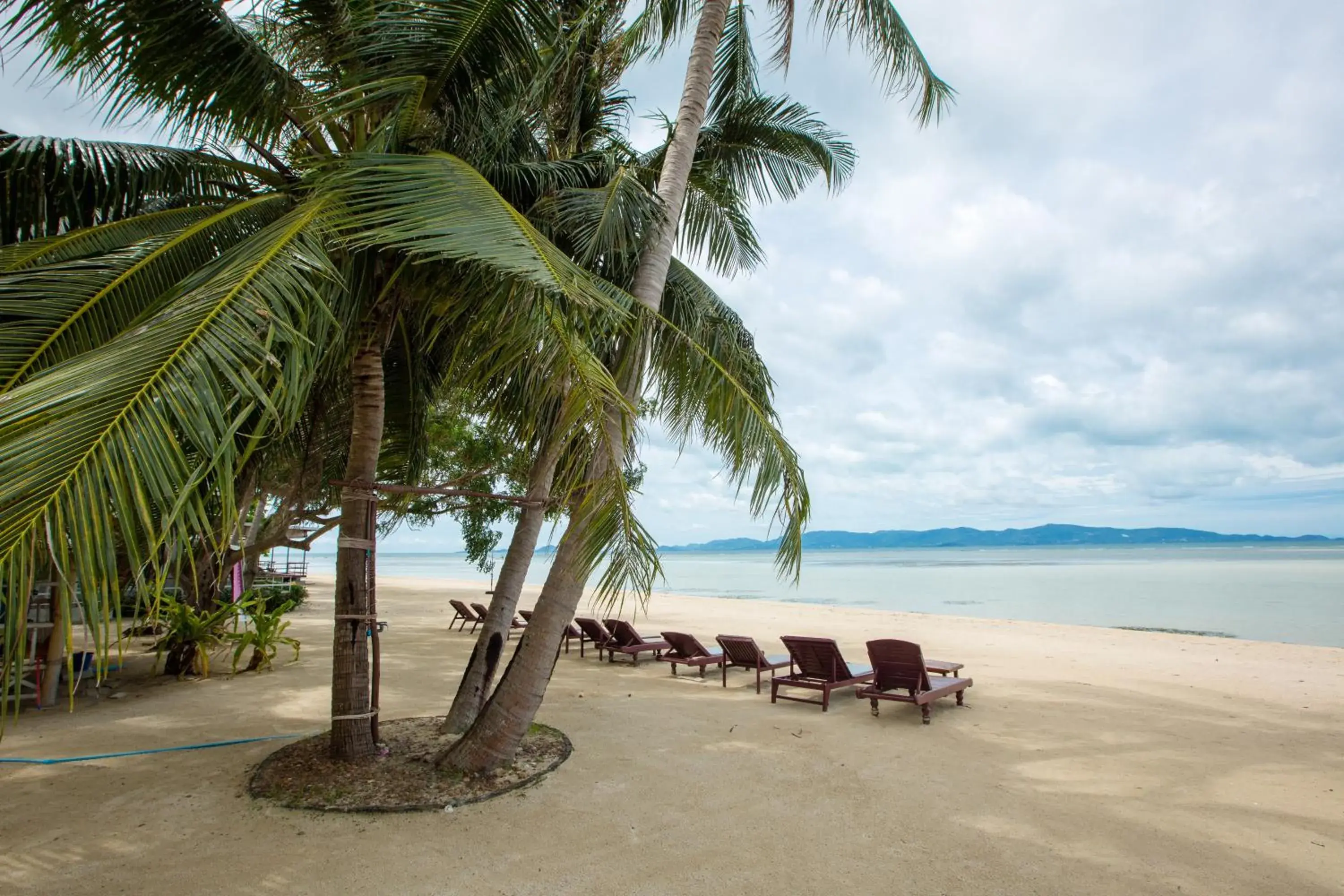 Restaurant/places to eat in Da Kanda Villa Beach Resort Restaurant/places to eat in Da Kanda Villa Beach Resort