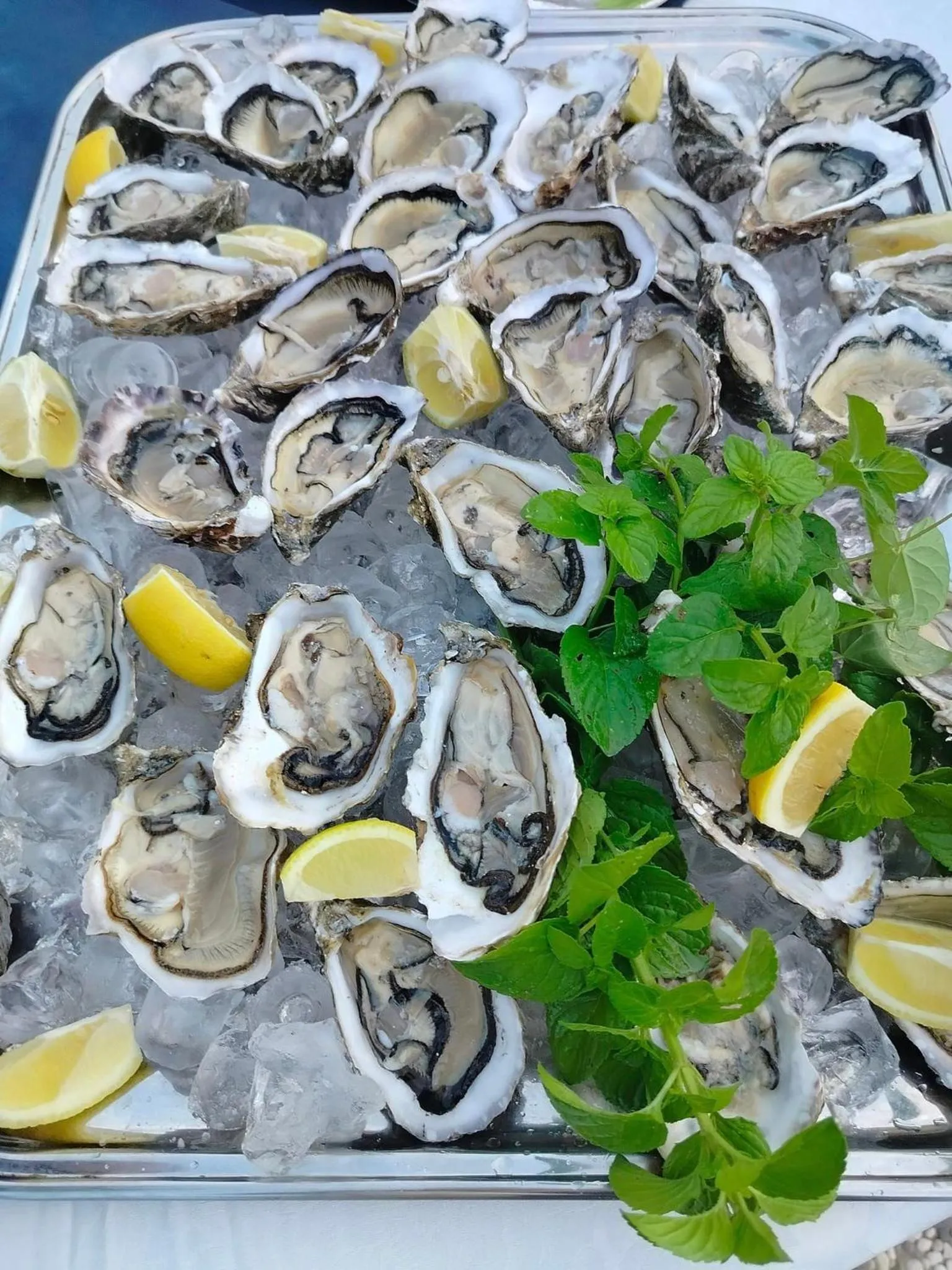 Restaurant/places to eat in Hotel Sporting