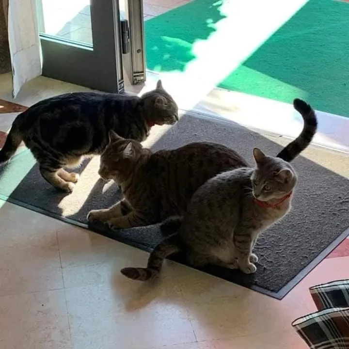 Staff in Hotel Sporting