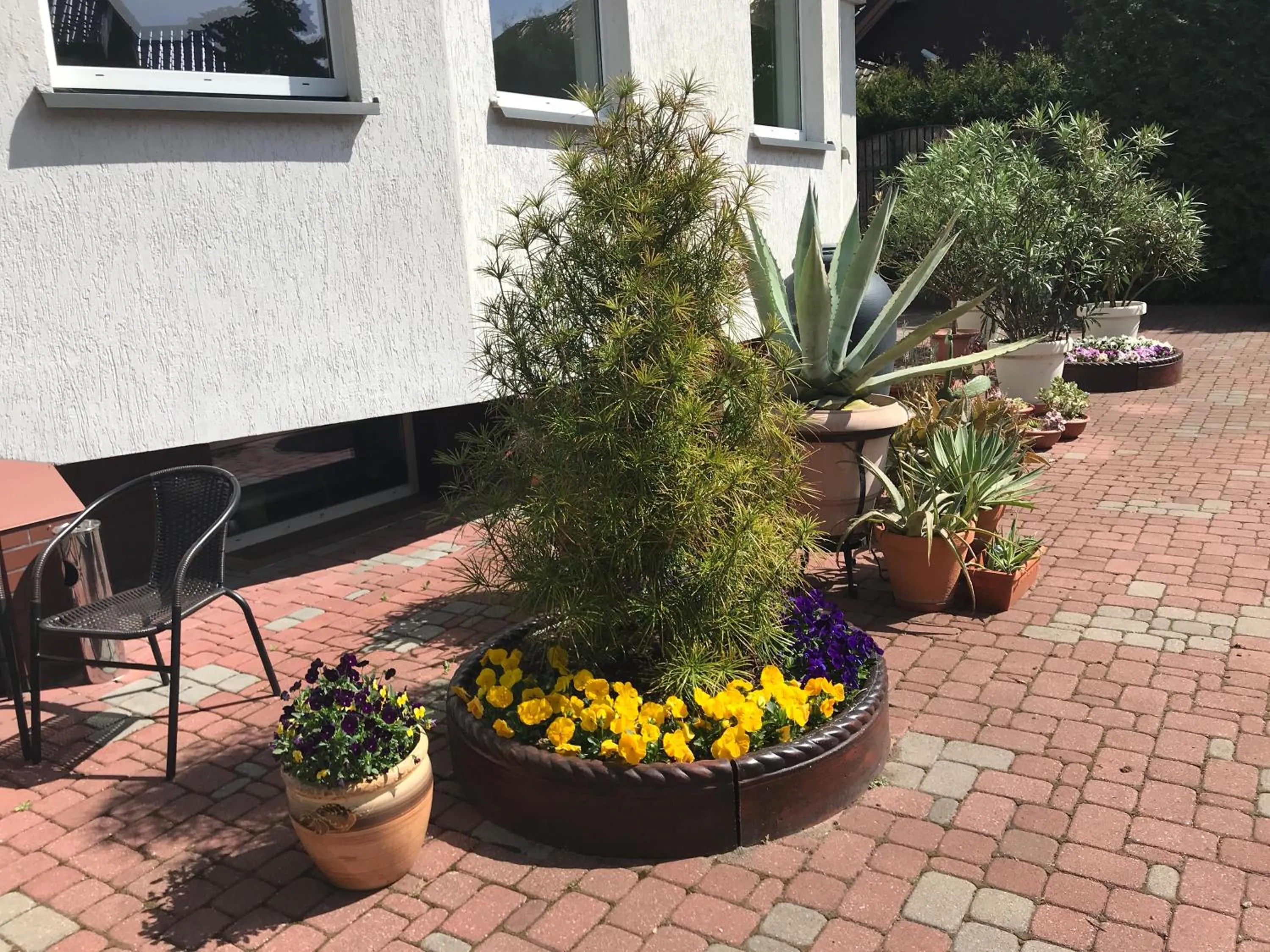 Facade/entrance in VITA Augustów