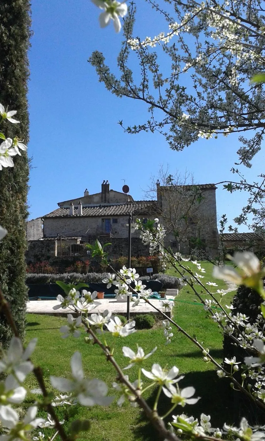 Garden view in Podere La Chiusella B&B