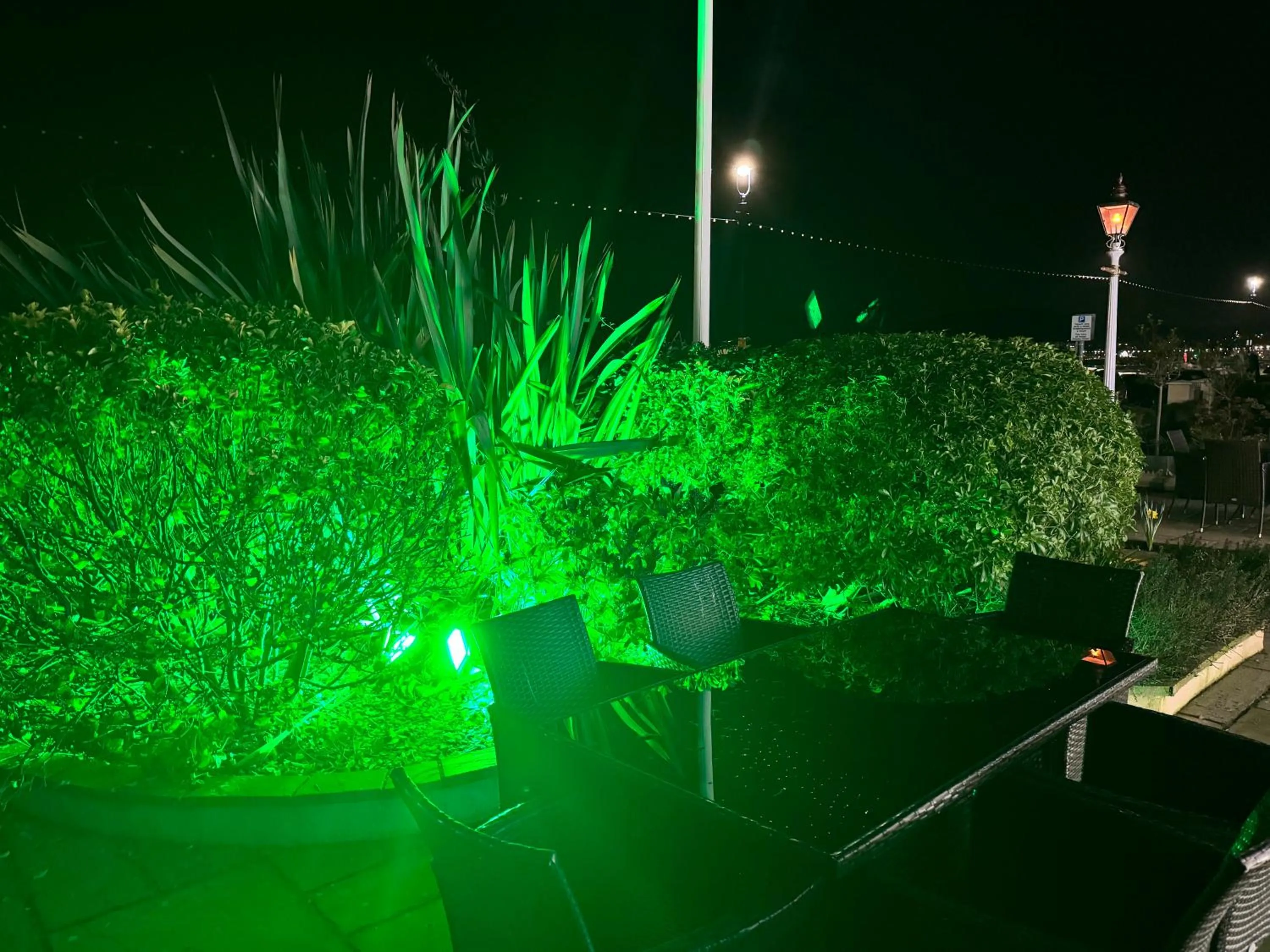 Garden in Winchmore Hotel