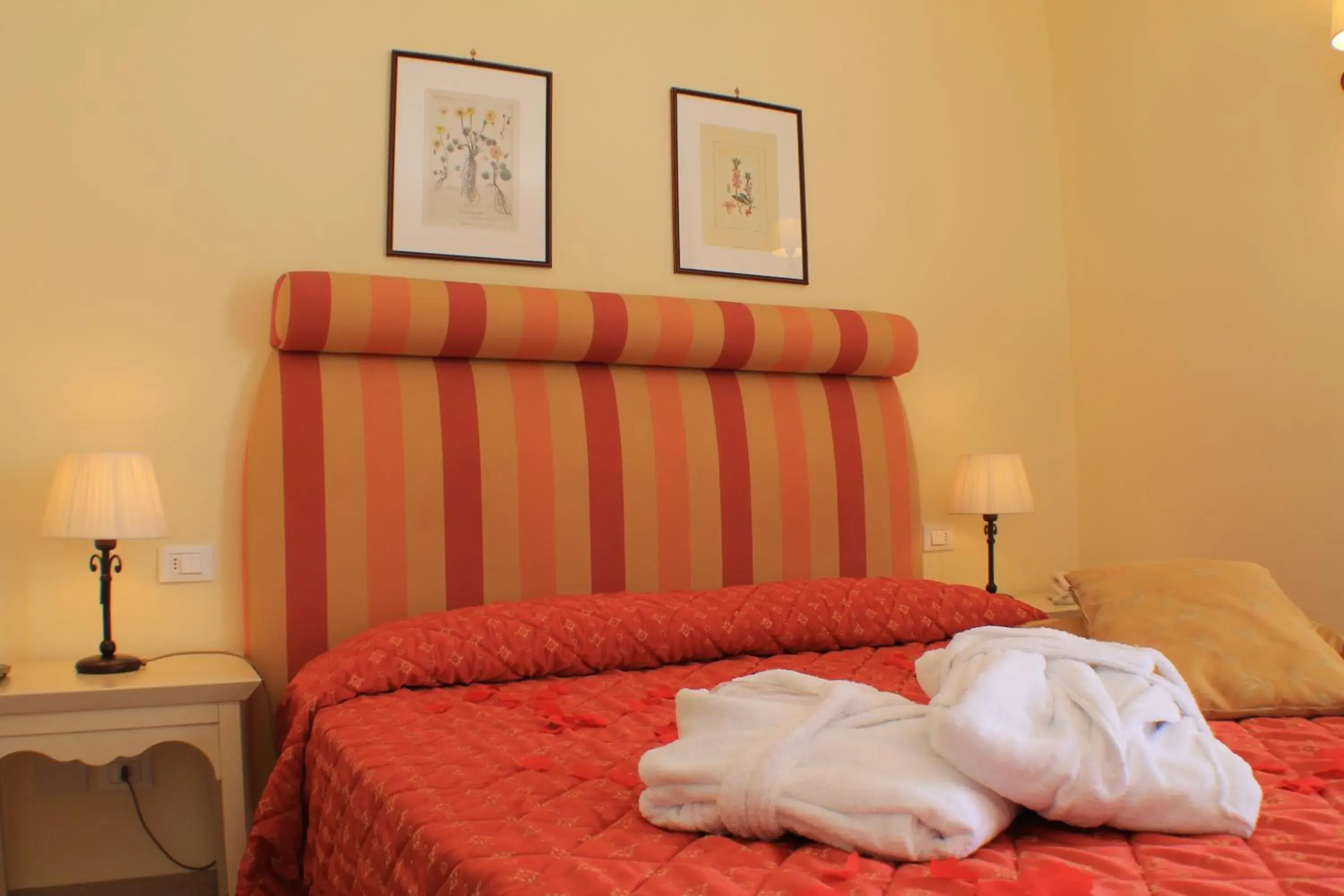 Superior Double Room - single occupancy in Il Parco Sul Mare Resort & SPA Superior Double Room - single occupancy in Il Parco Sul Mare Resort & SPA