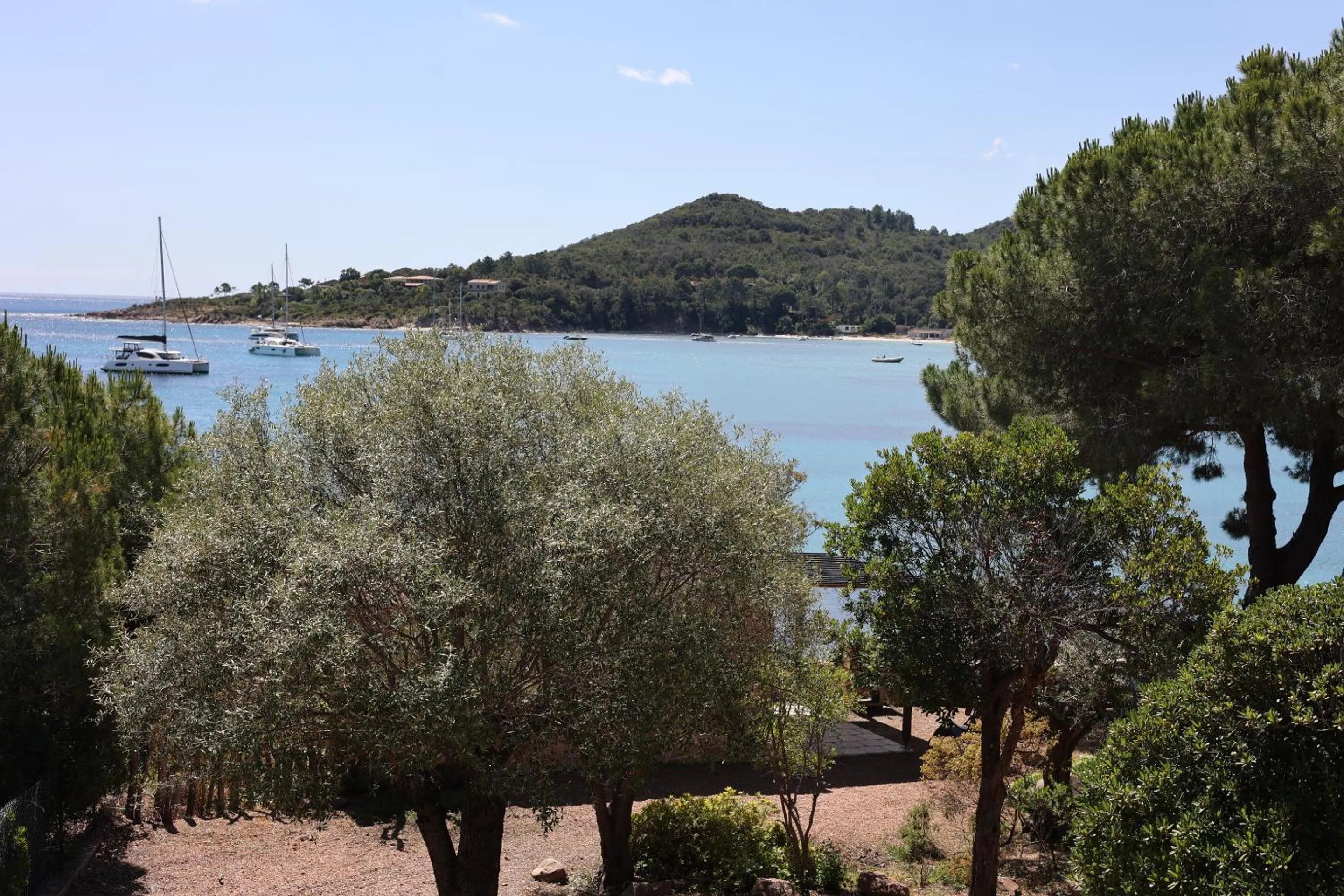 Garden in Faounzina Village