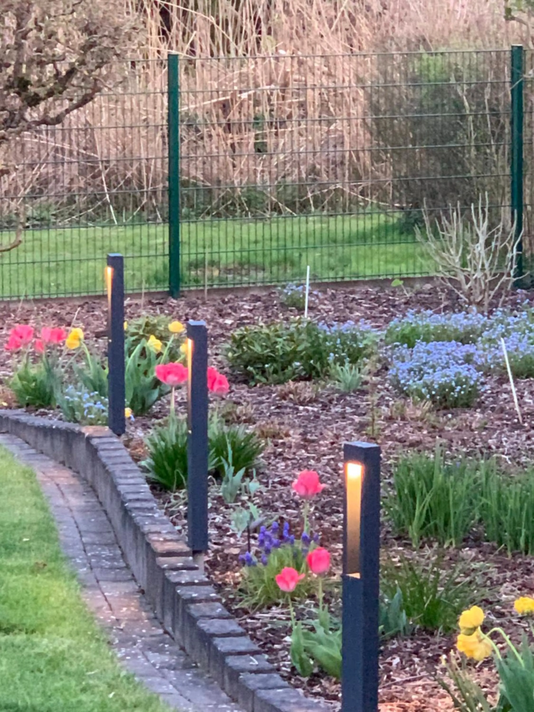 Garden in Gästehaus Am Radweg