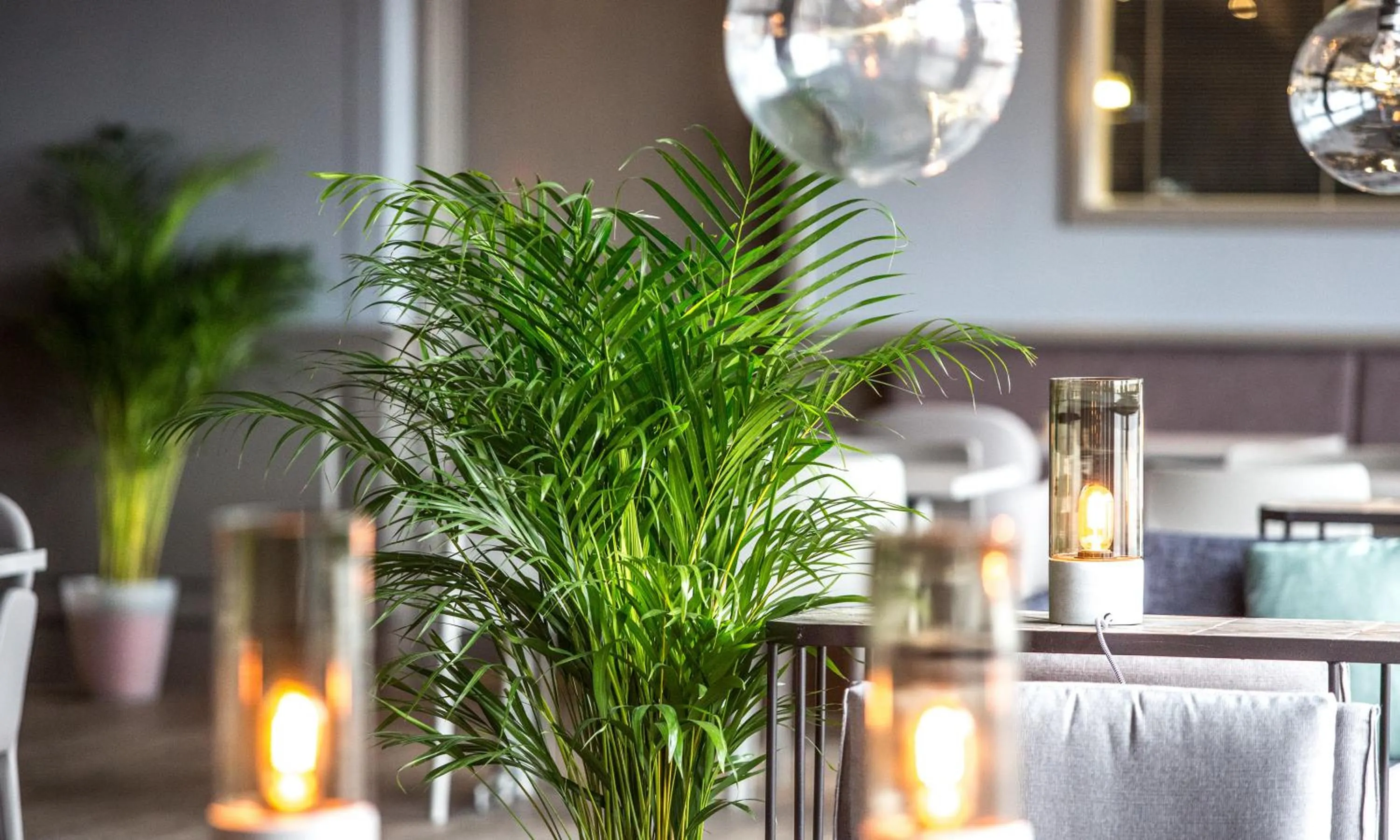 Restaurant/places to eat in Thon PartnerHotel Horten