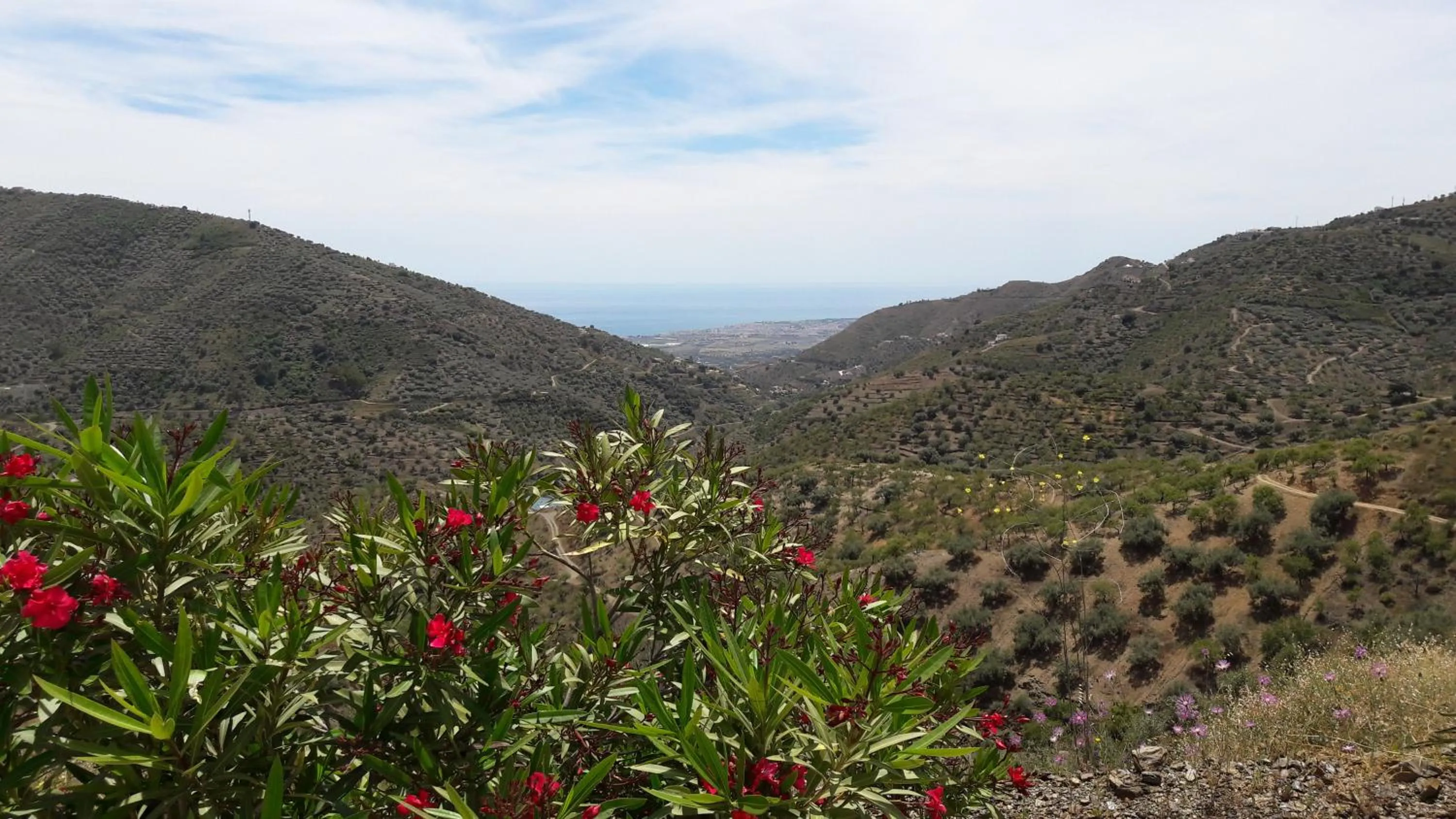 Mountain view in B&B Casa Pura Vista