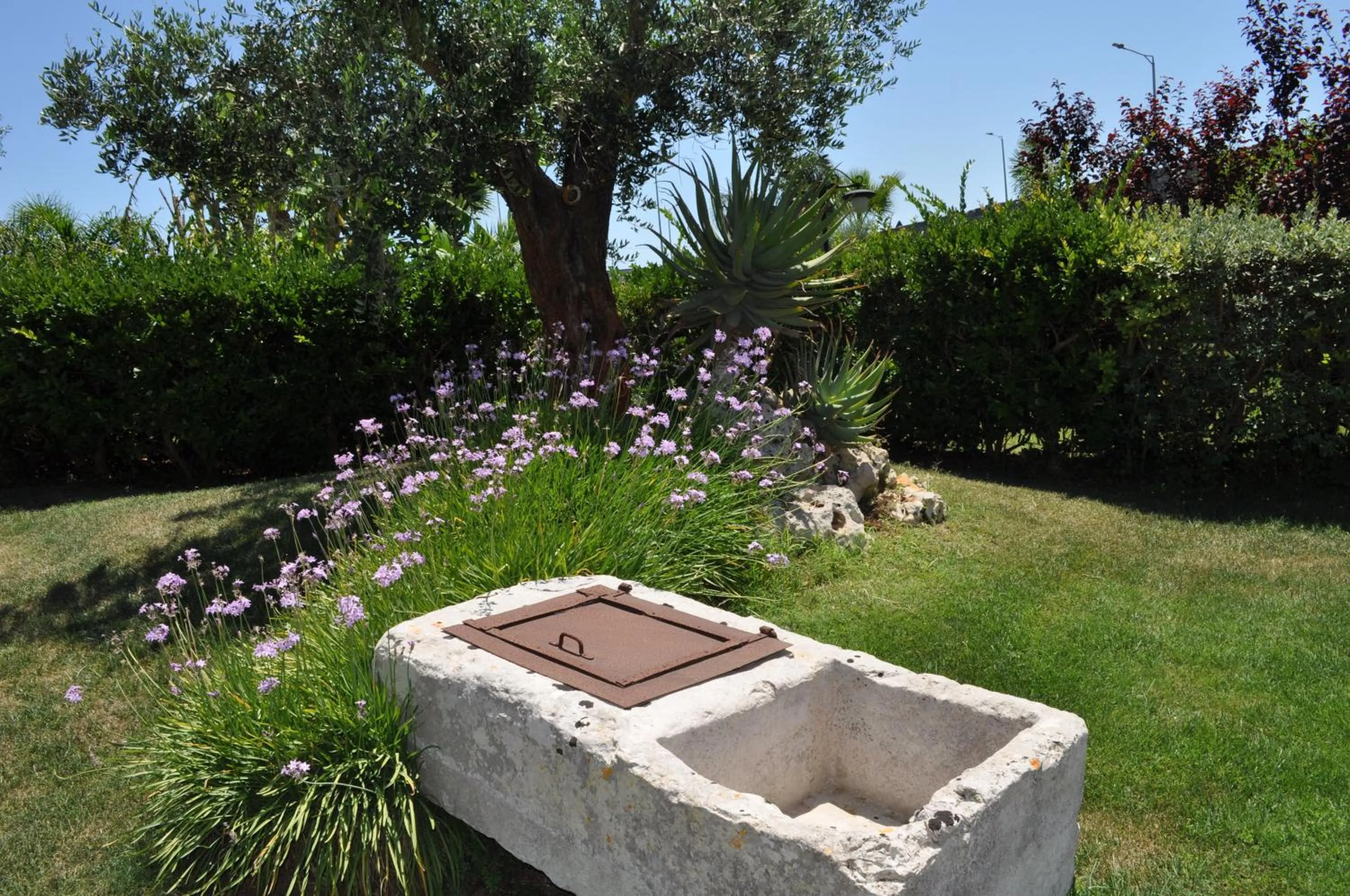 Garden in Villa Rosa Antico Dimora Storica