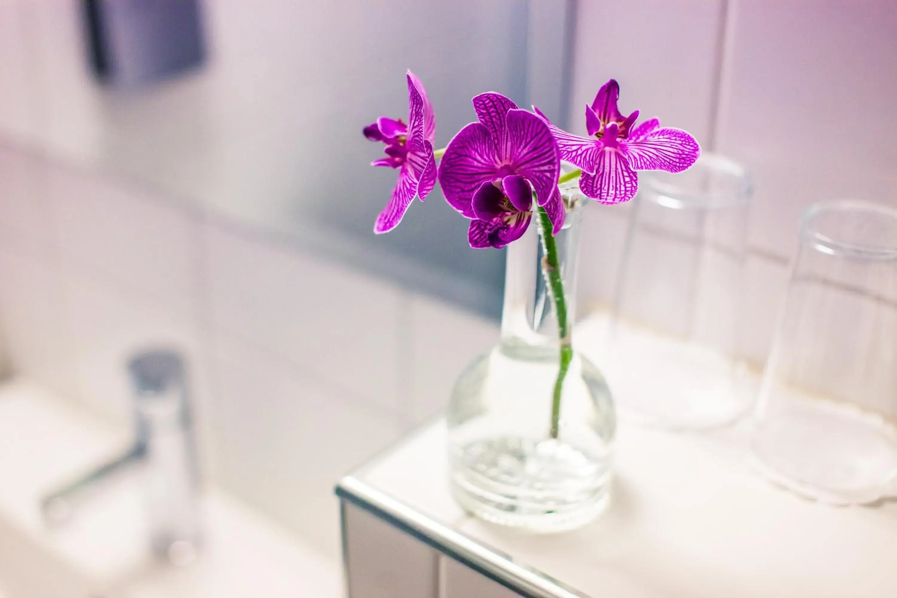 Bathroom in Thon Partner Hotel Otta Bathroom in Thon Partner Hotel Otta