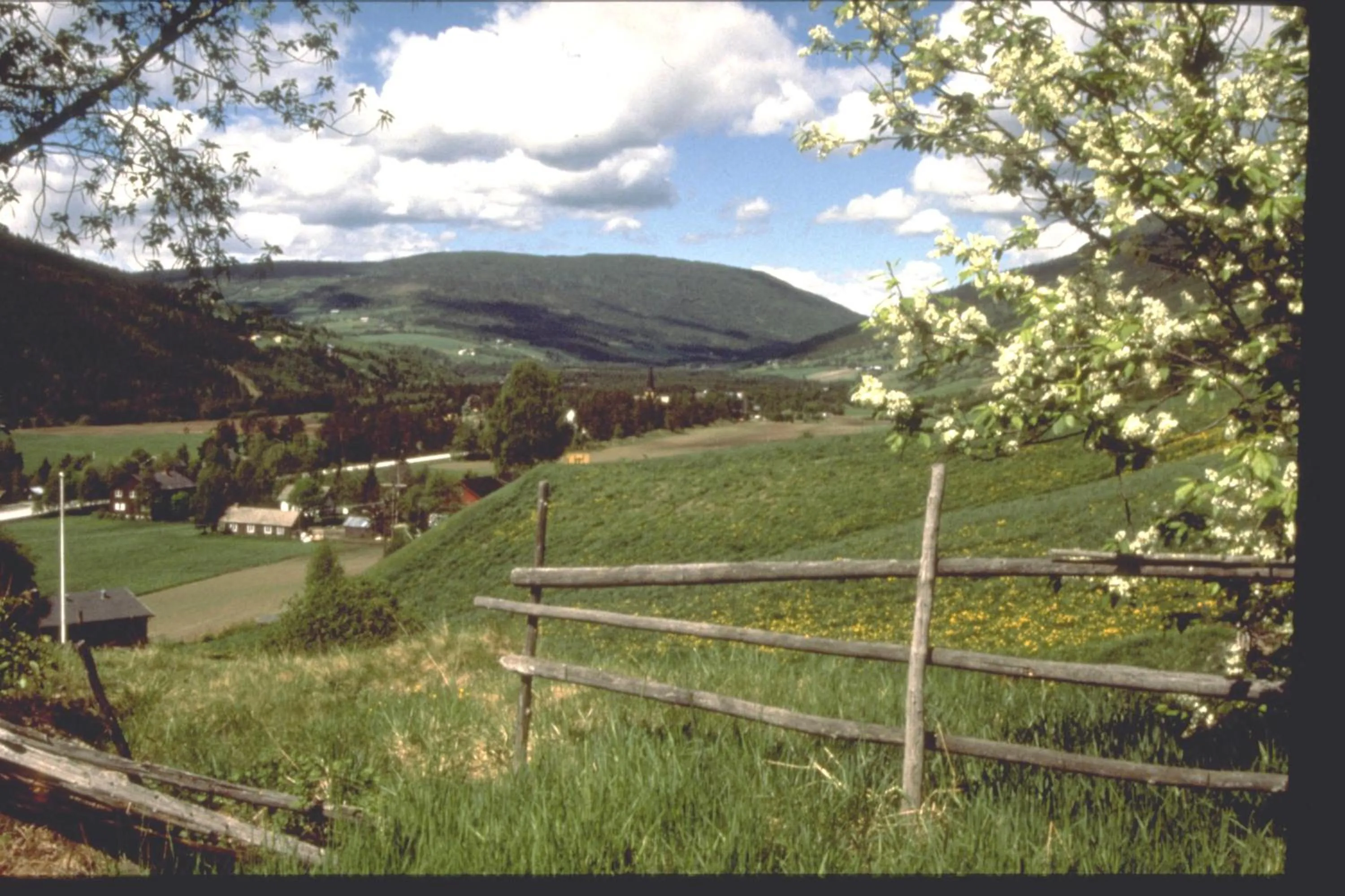 Natural landscape in Thon Partner Hotel Otta
