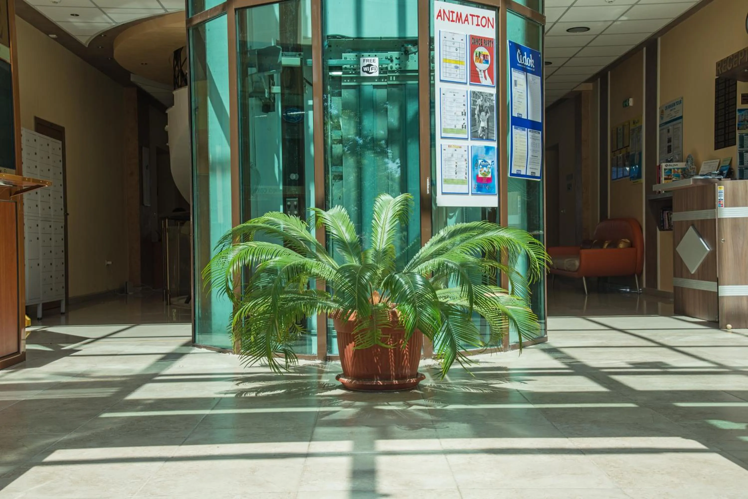 Garden in Aparthotel Hotel Prestige City II