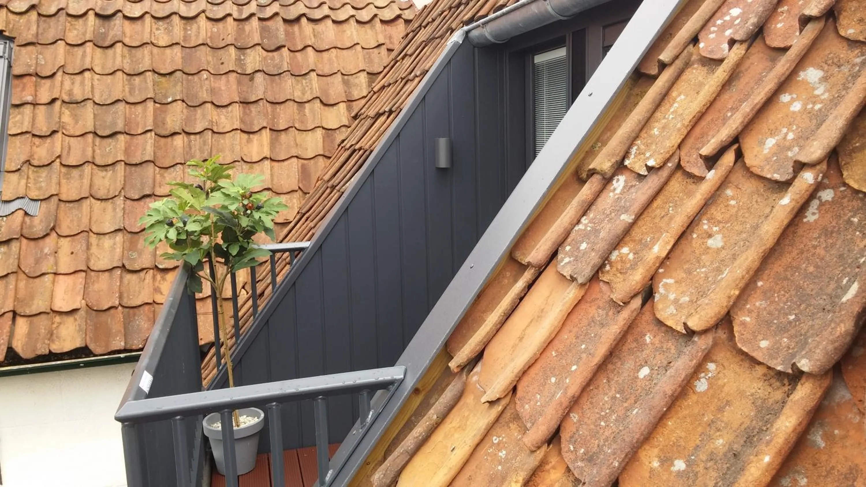 Balcony/Terrace in Hotel Restaurant It posthus