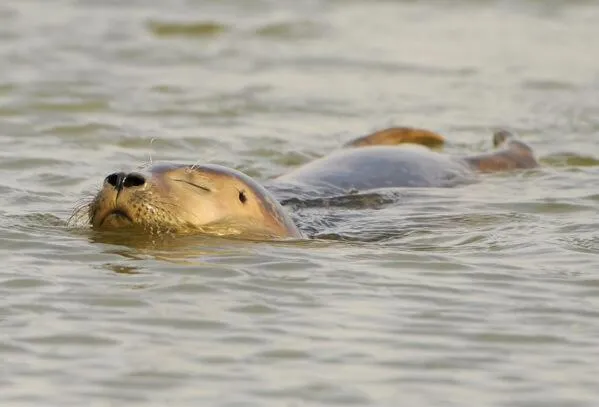 Nearby landmark in Hotel Restaurant It posthus