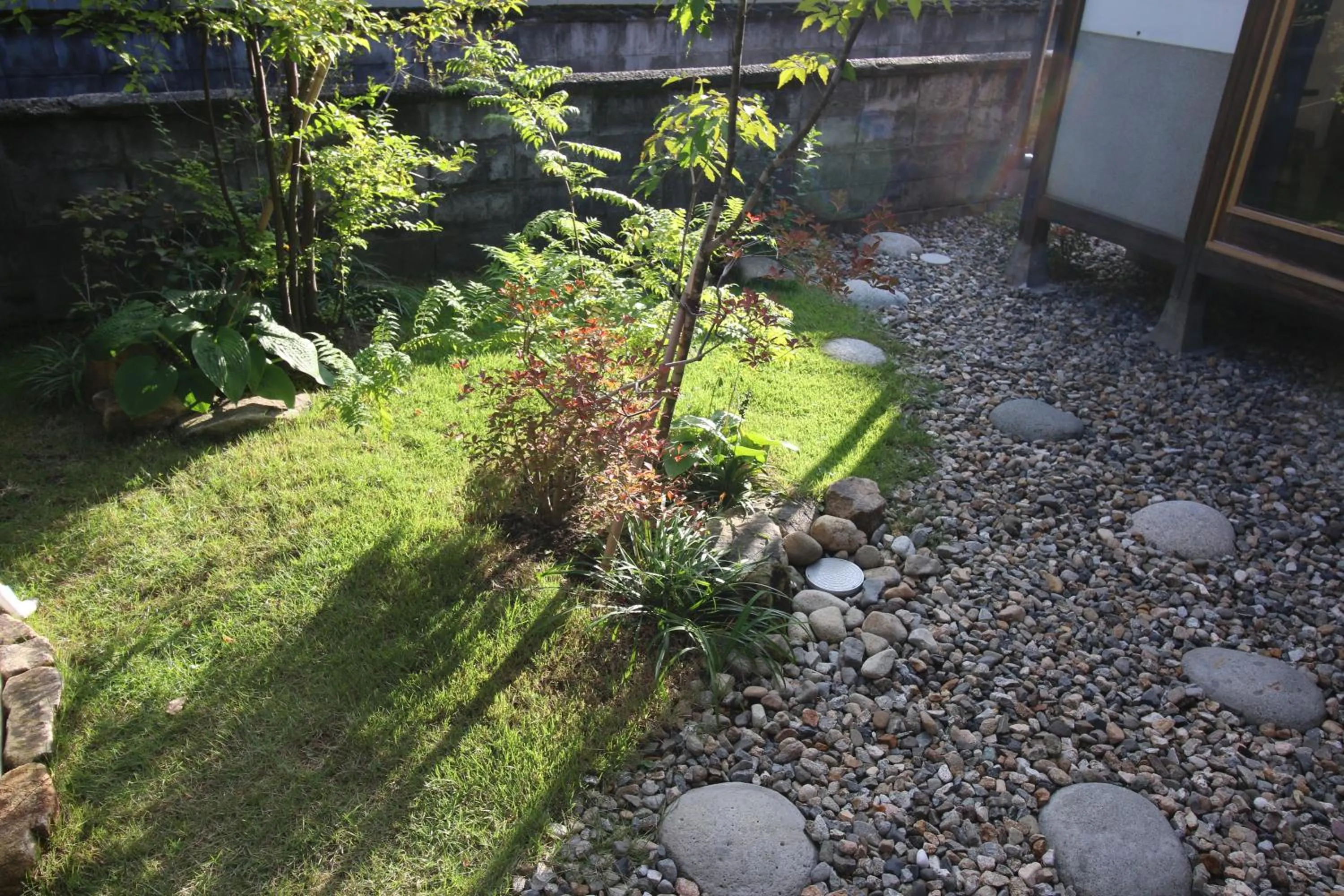 Garden in Hostel Fish in a River
