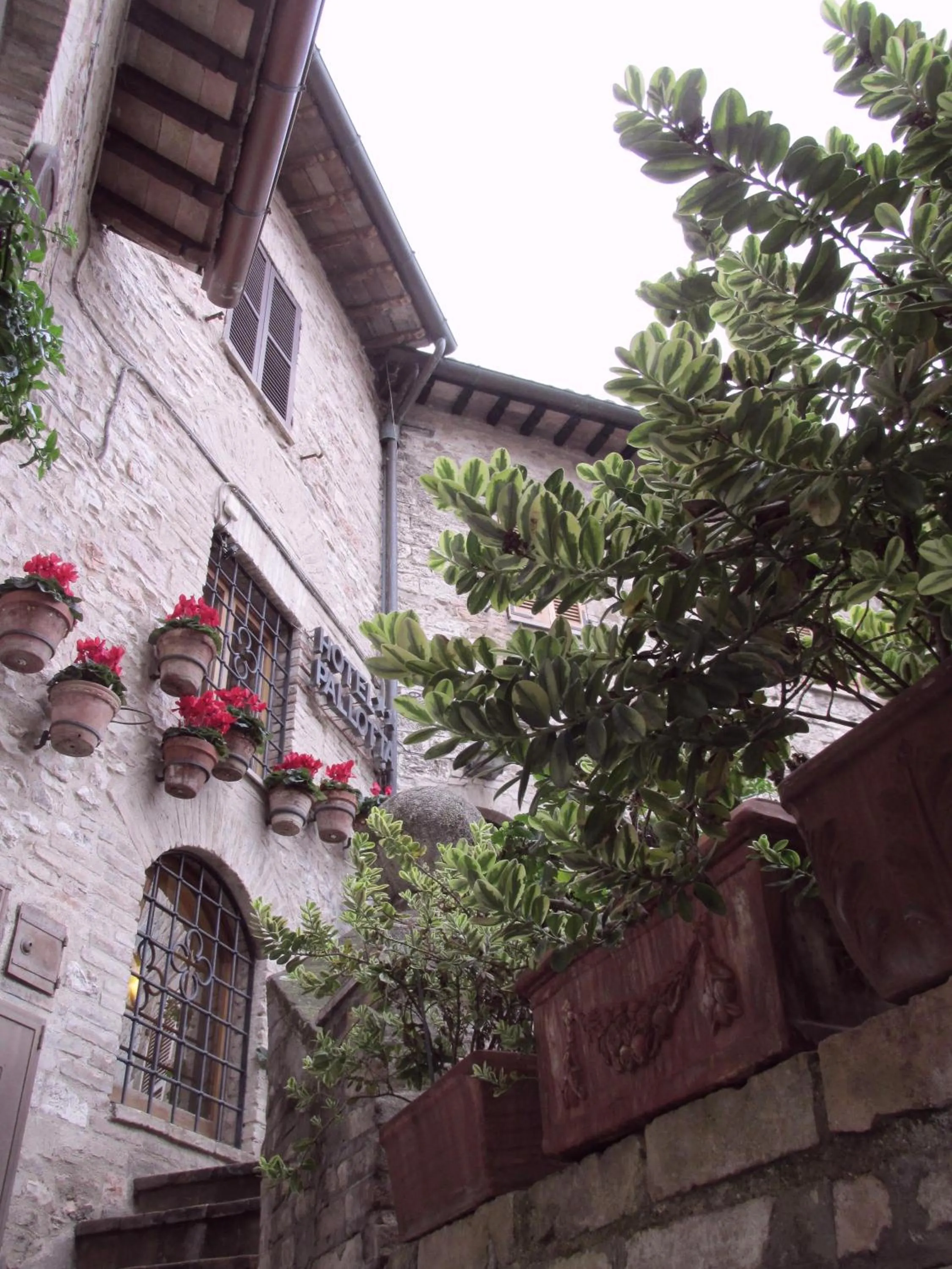 Facade/entrance in Hotel Pallotta