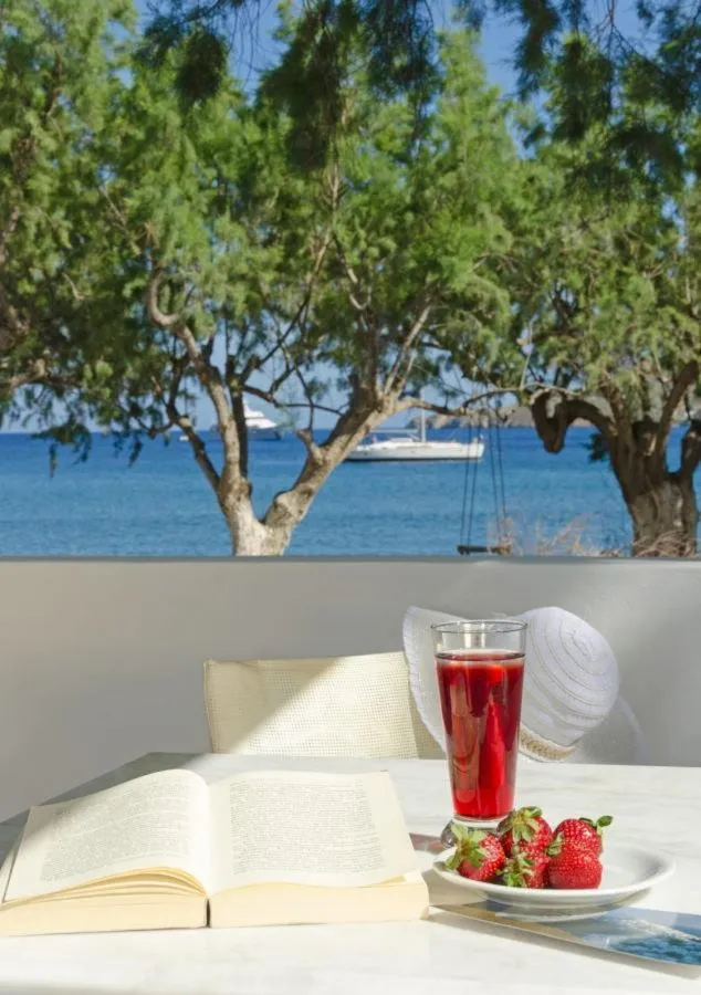 Balcony/Terrace in Mouras studios