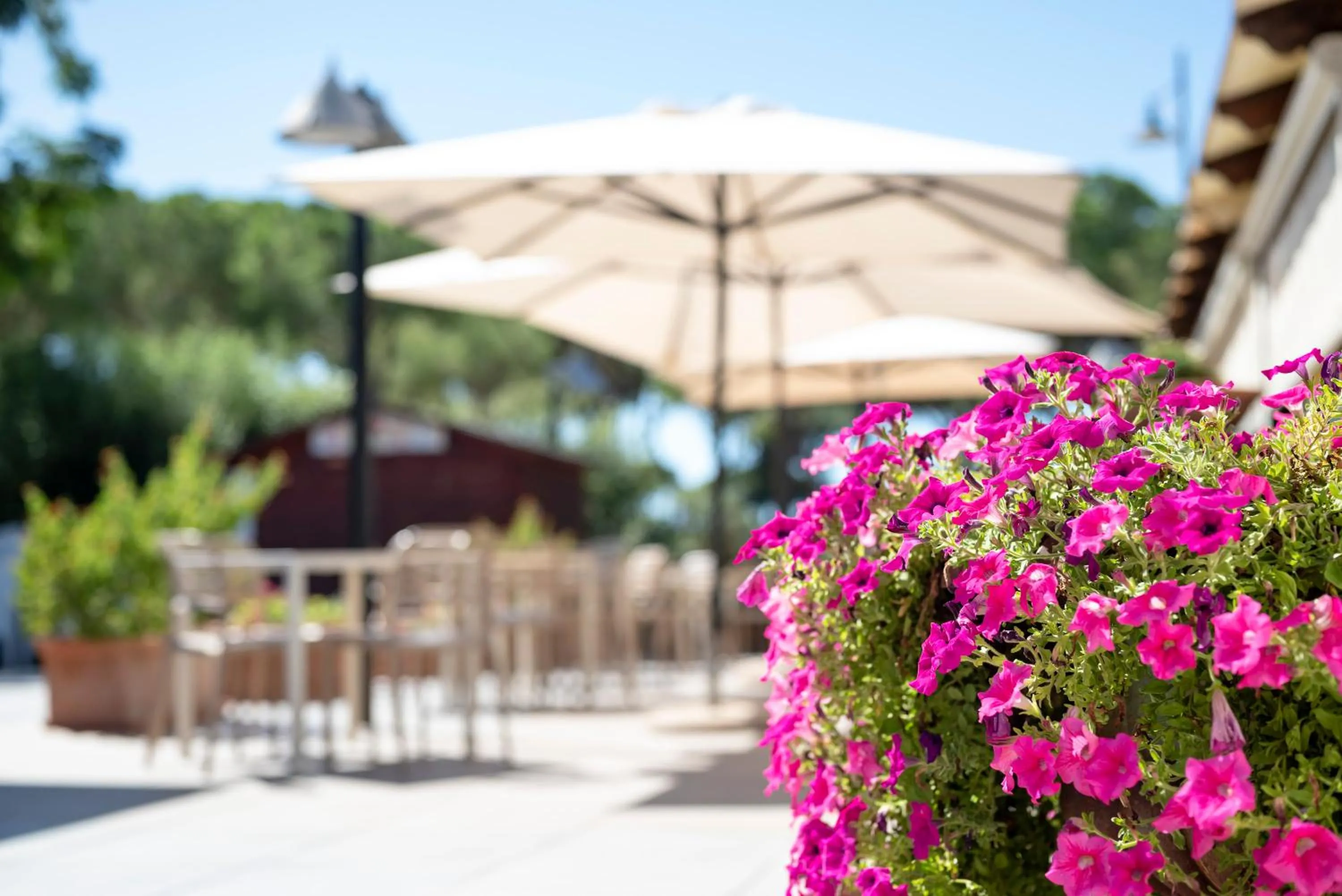 Area and facilities in Villaggio Il Girasole