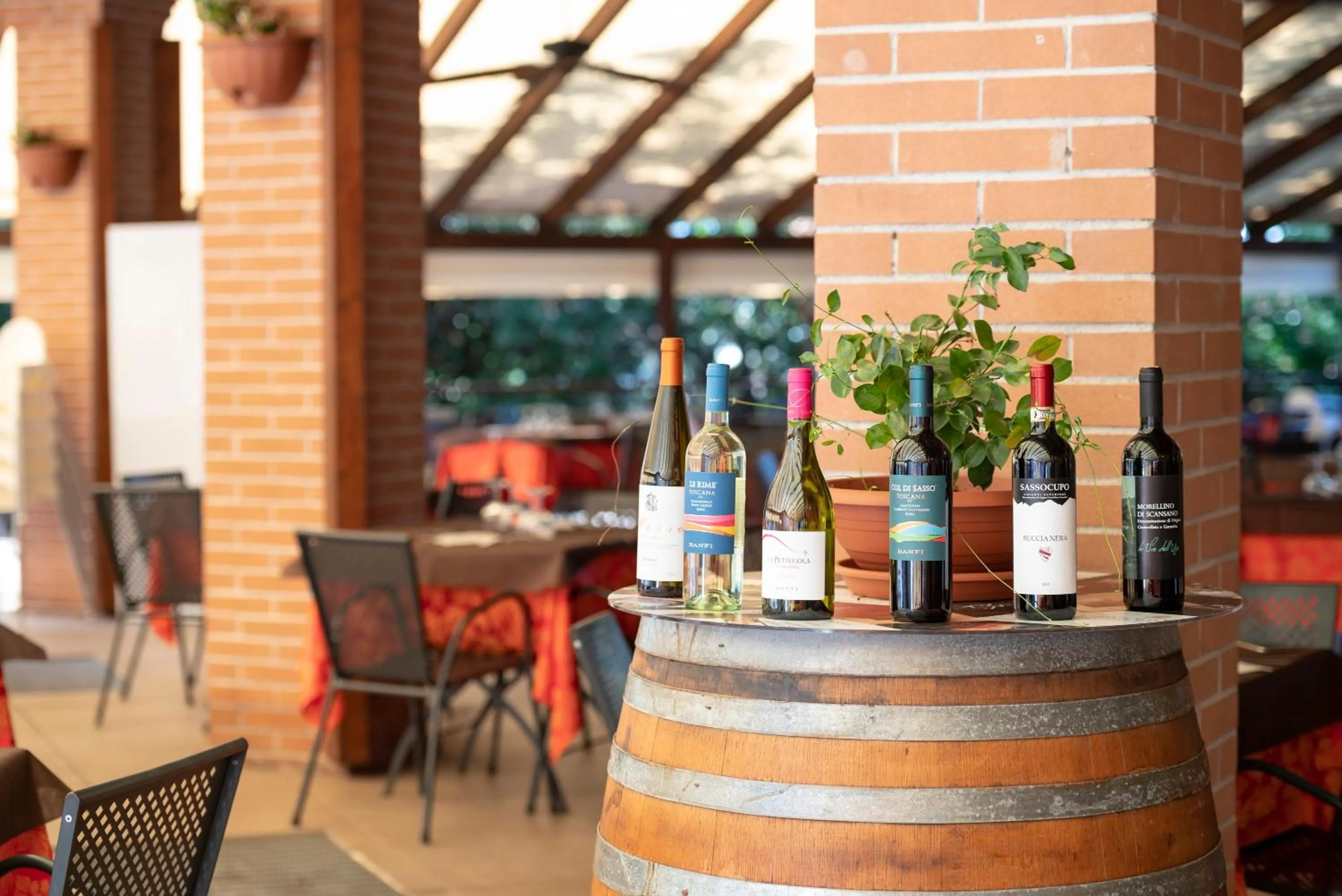 Restaurant/places to eat in Villaggio Il Girasole