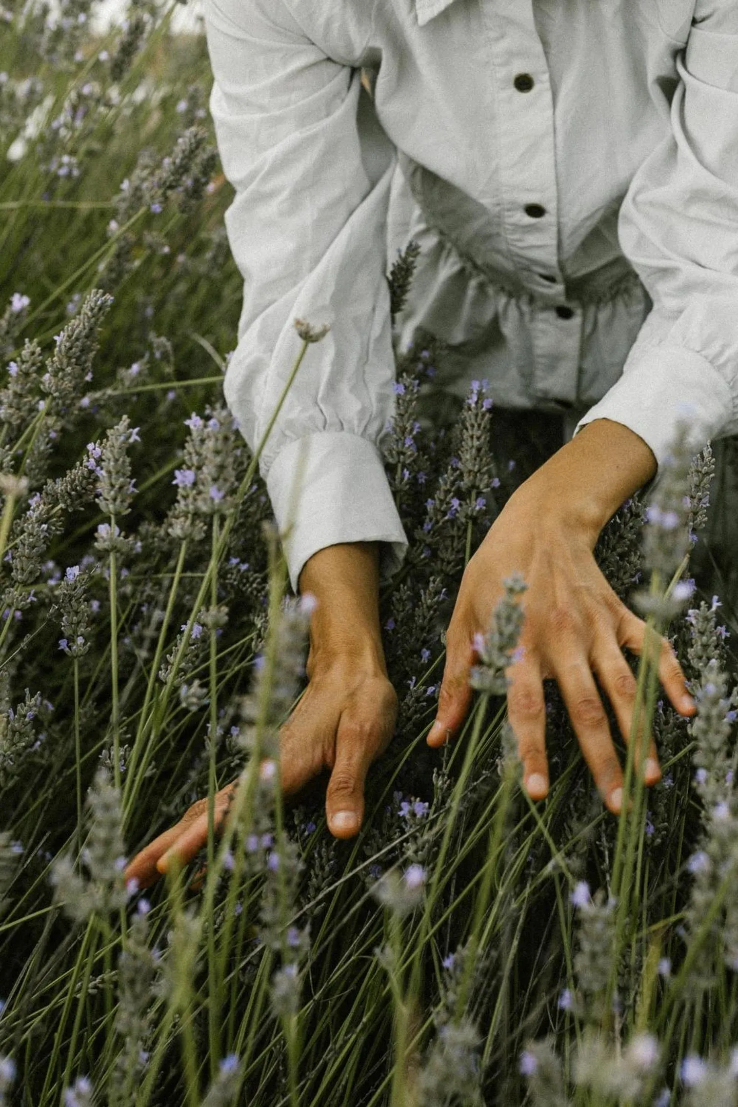 Garden in Agriturismo I Pini