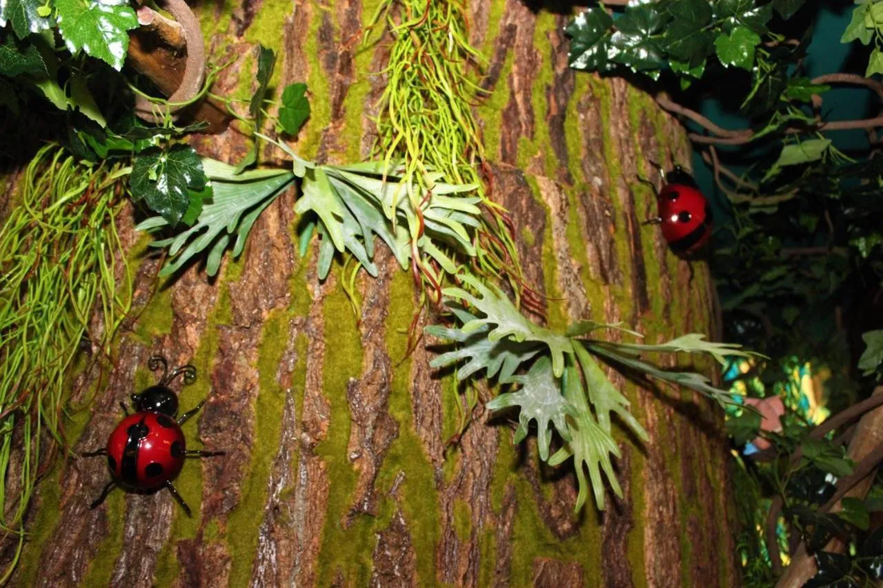 Decorative detail in Hi Kids B&B