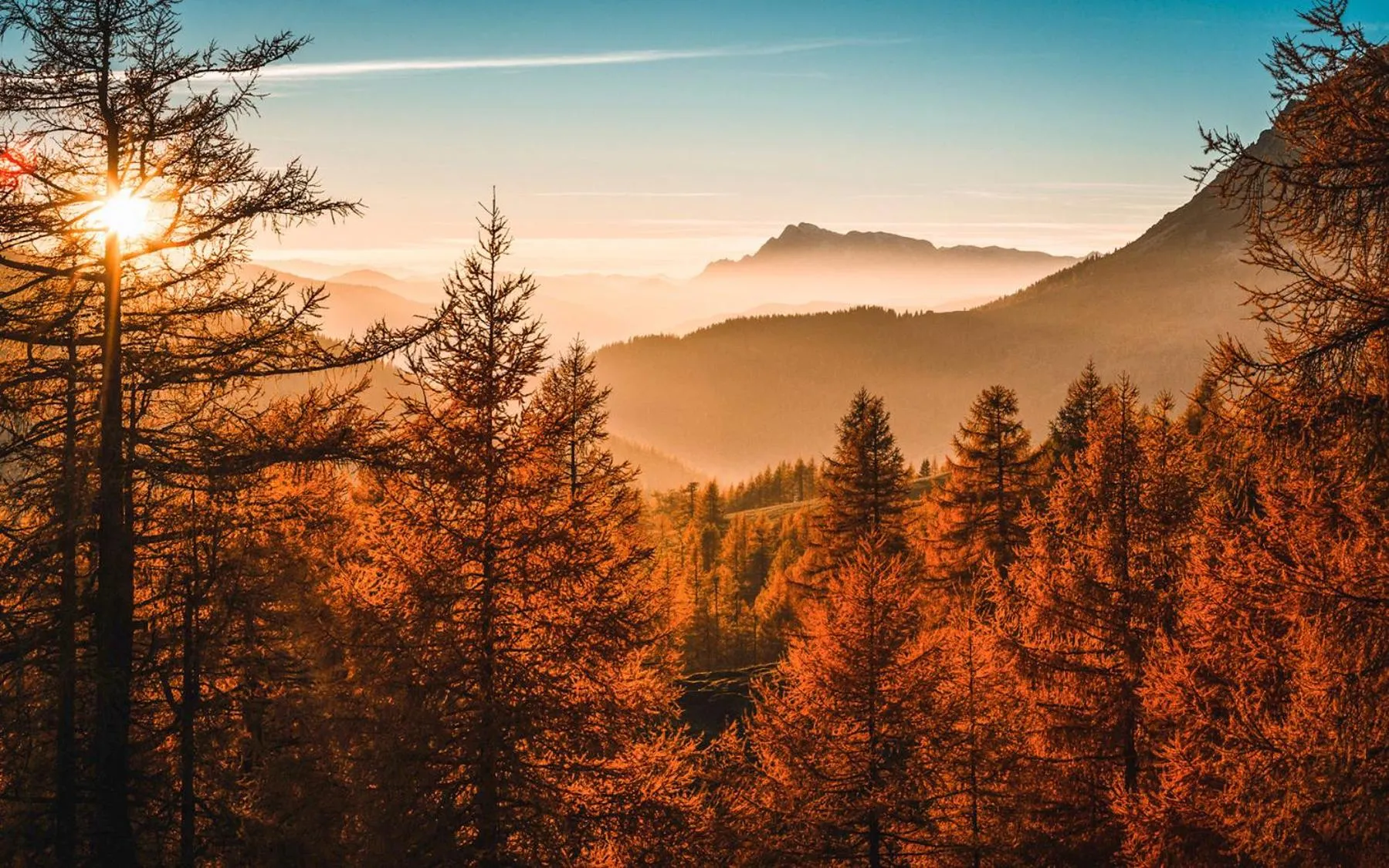 Autumn in Hotel Matschner