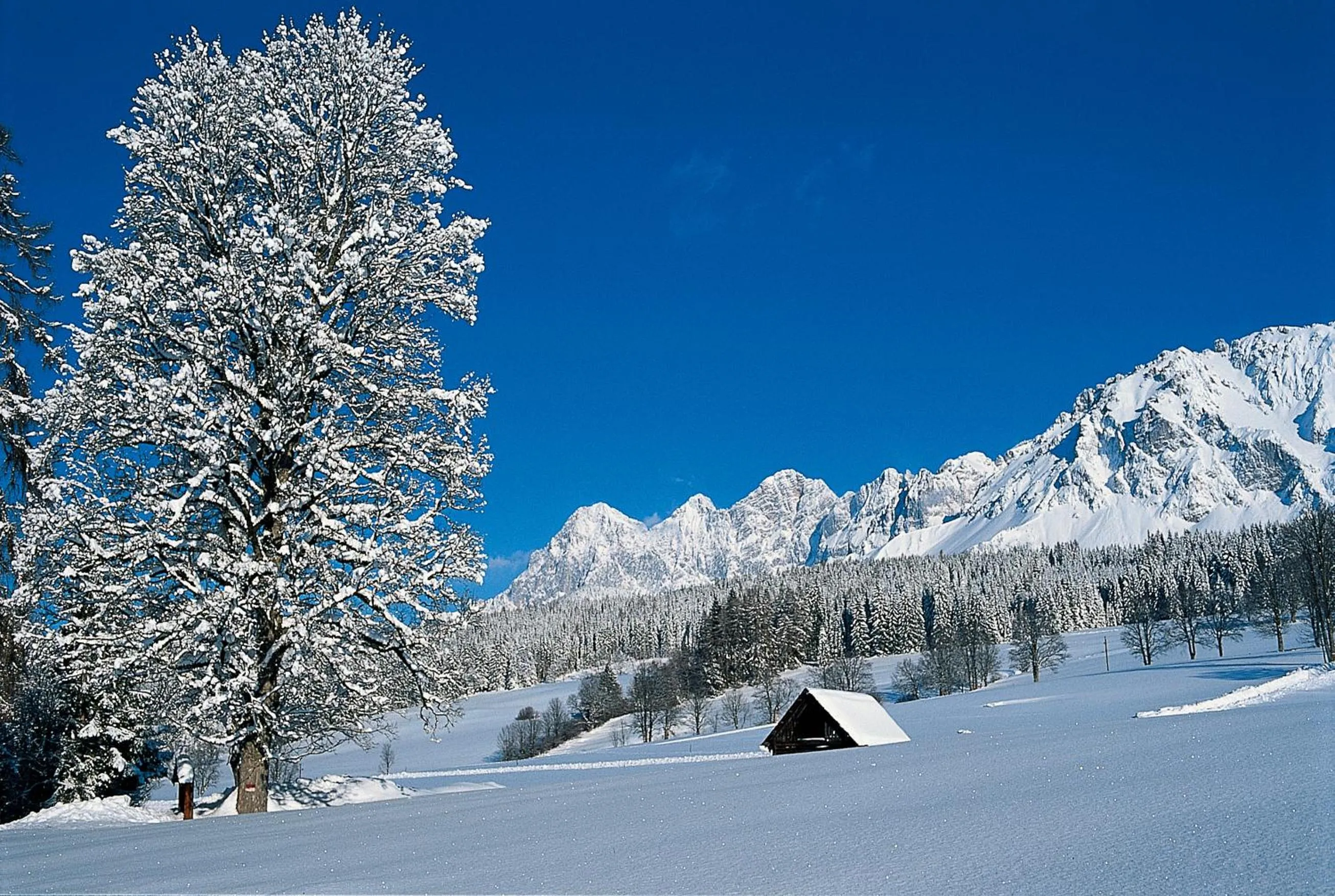 Winter in Hotel Matschner