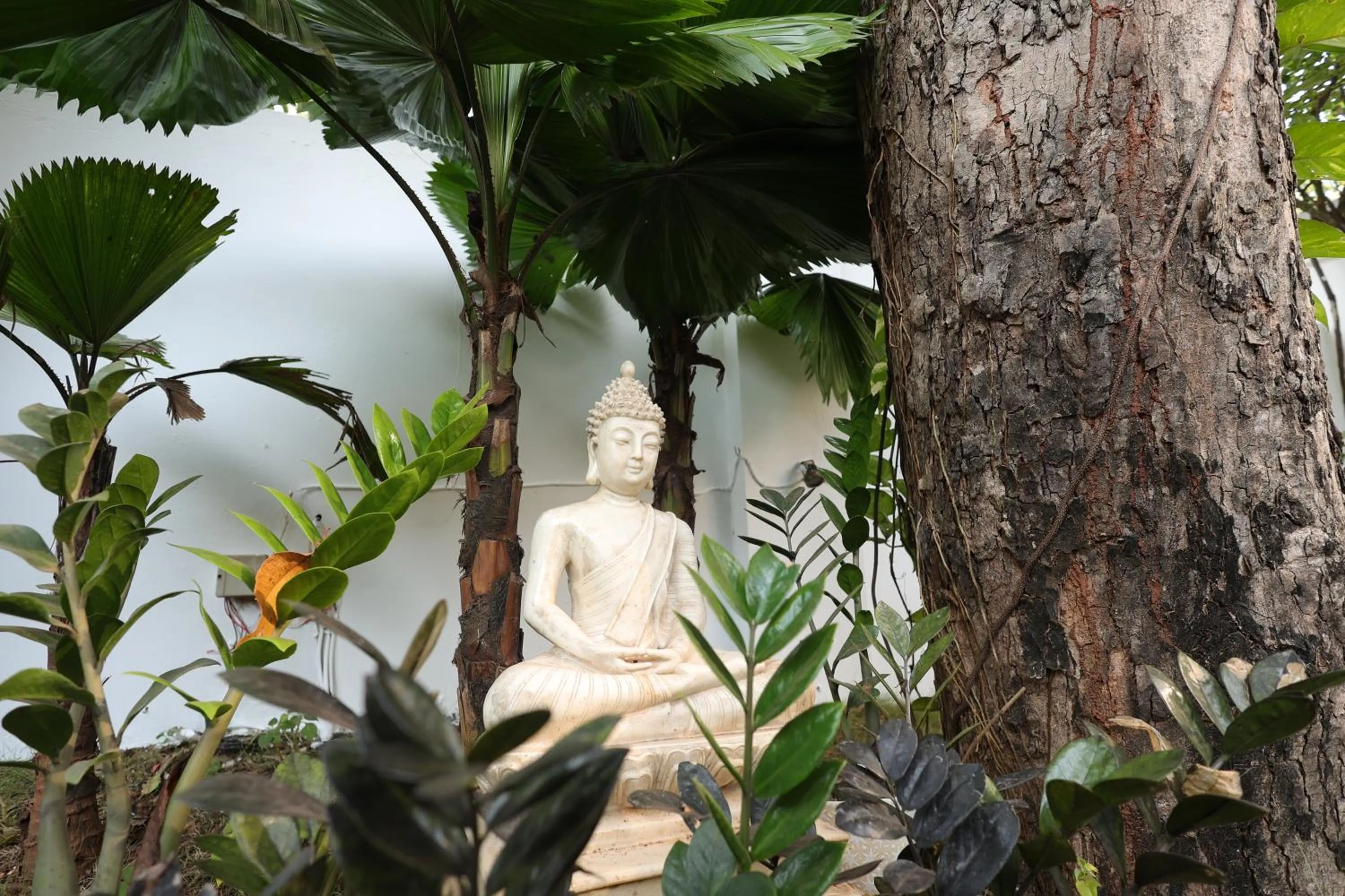 Property building in Casa Ahaana Resort Vagator, By Lavin Hotels