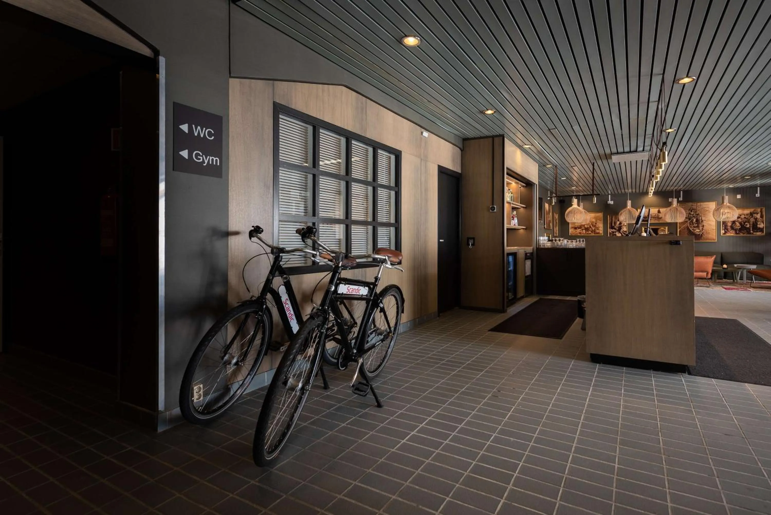 Cycling in Scandic Vestfjord Lofoten