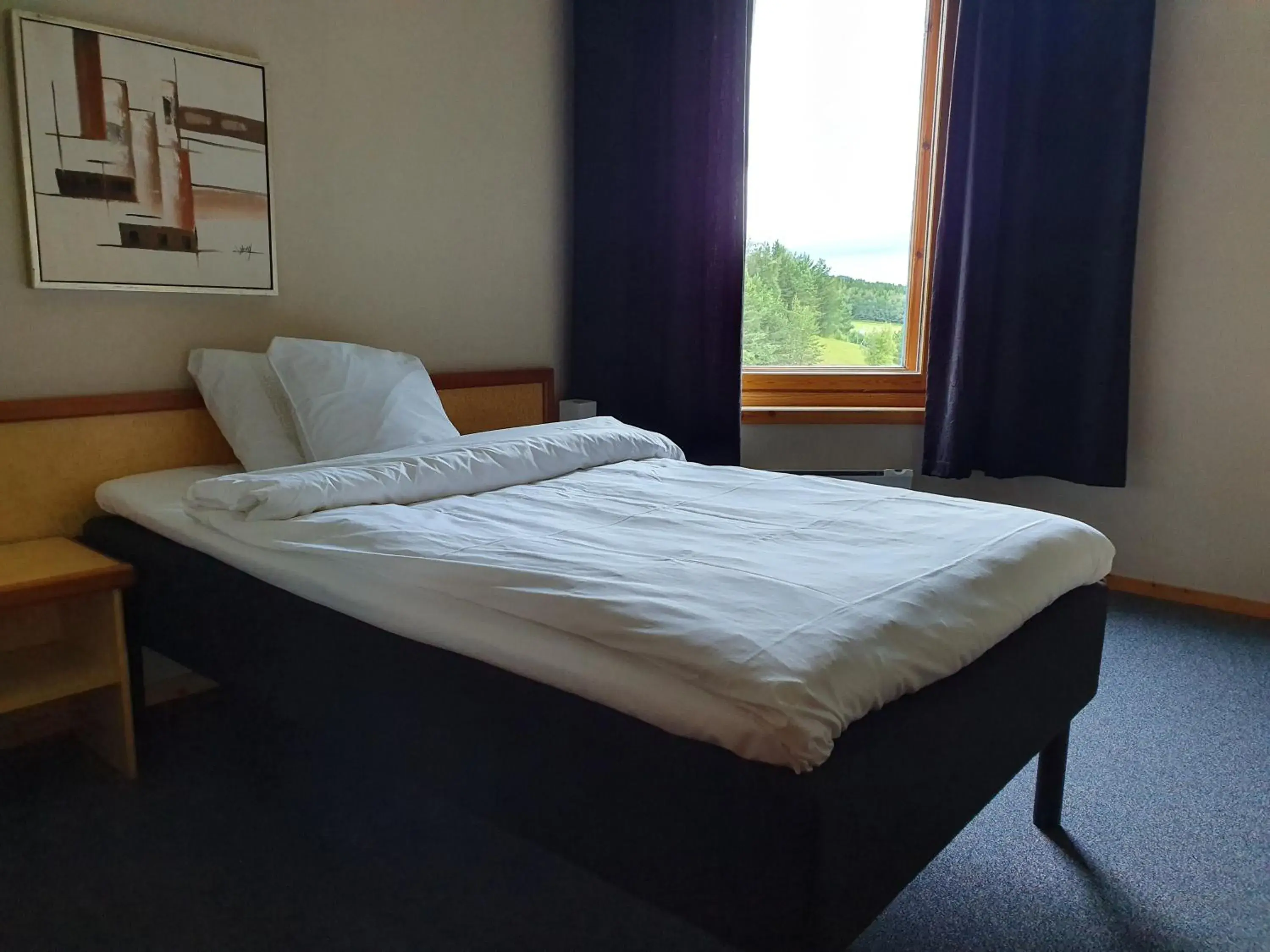 Single Room in Stav Hotel Single Room in Stav Hotel