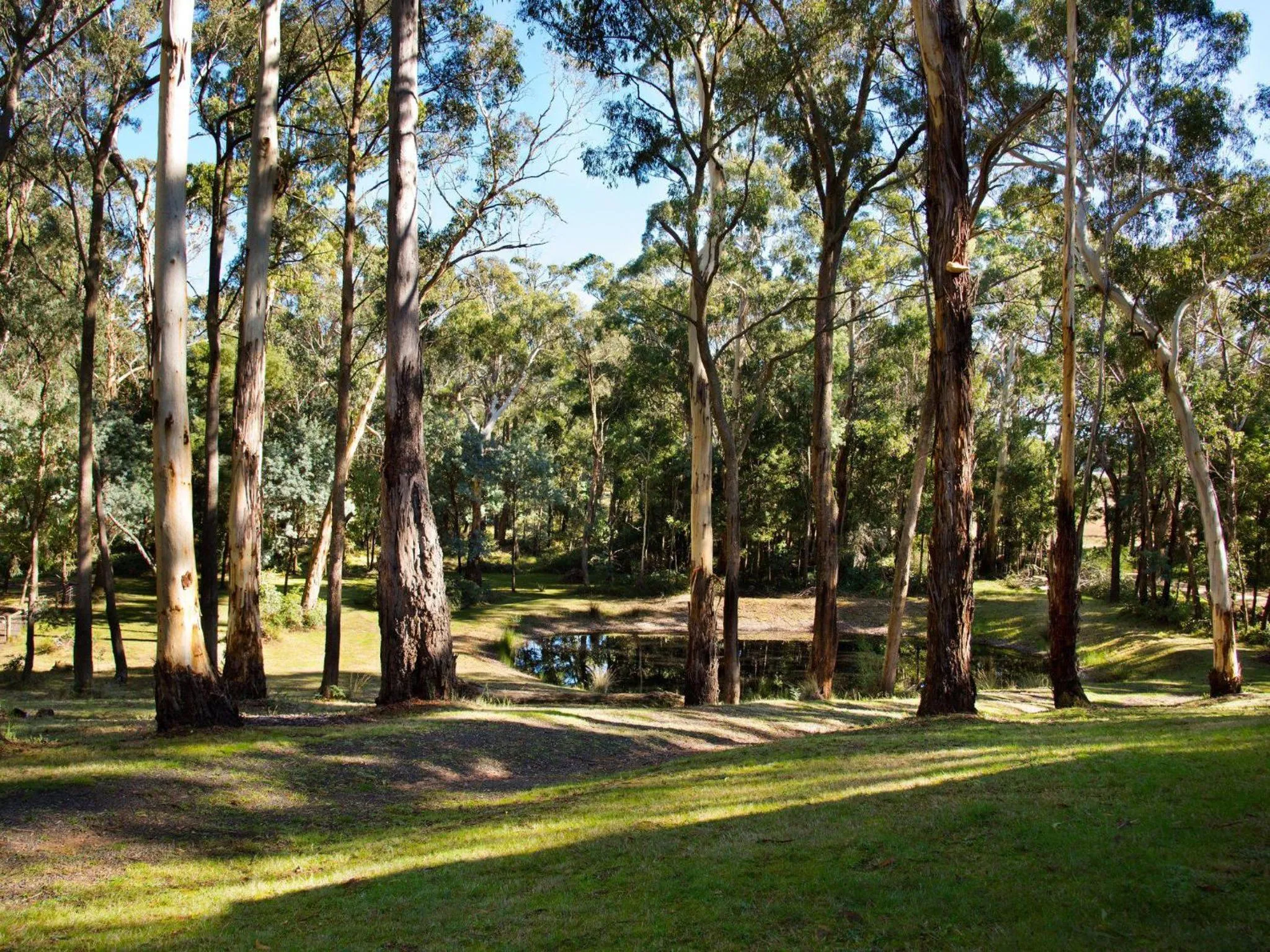 Gumnut Cottage Daylesford