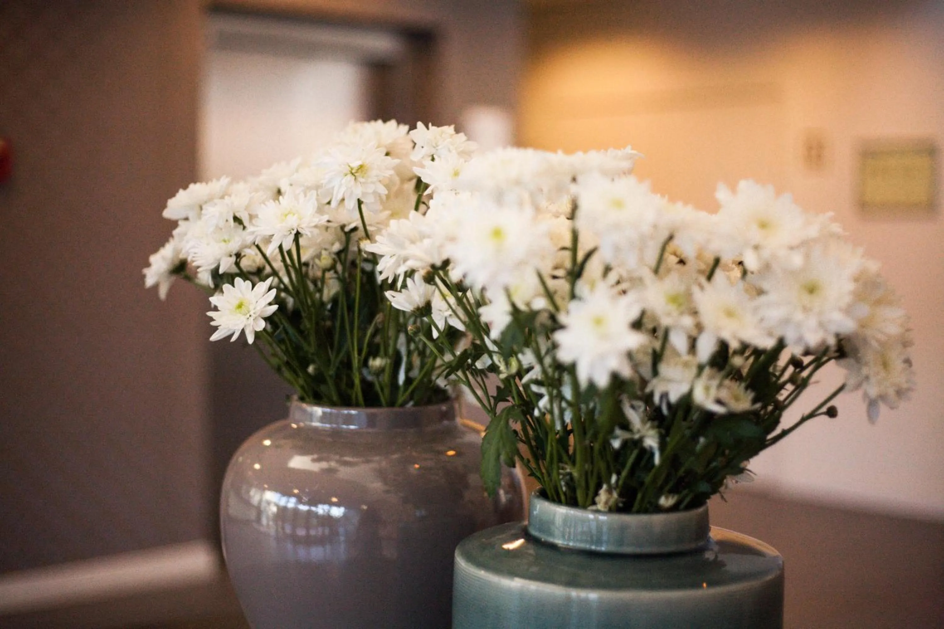 Spa and wellness centre/facilities in Monchique Resort & Spa