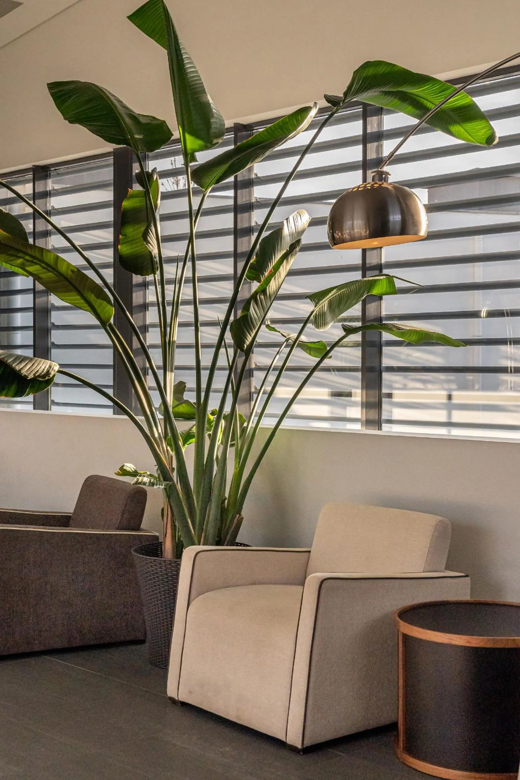 Property building in Monchique Resort & Spa