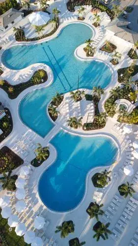 Saddlebrook Resort Saddlebrook Resort