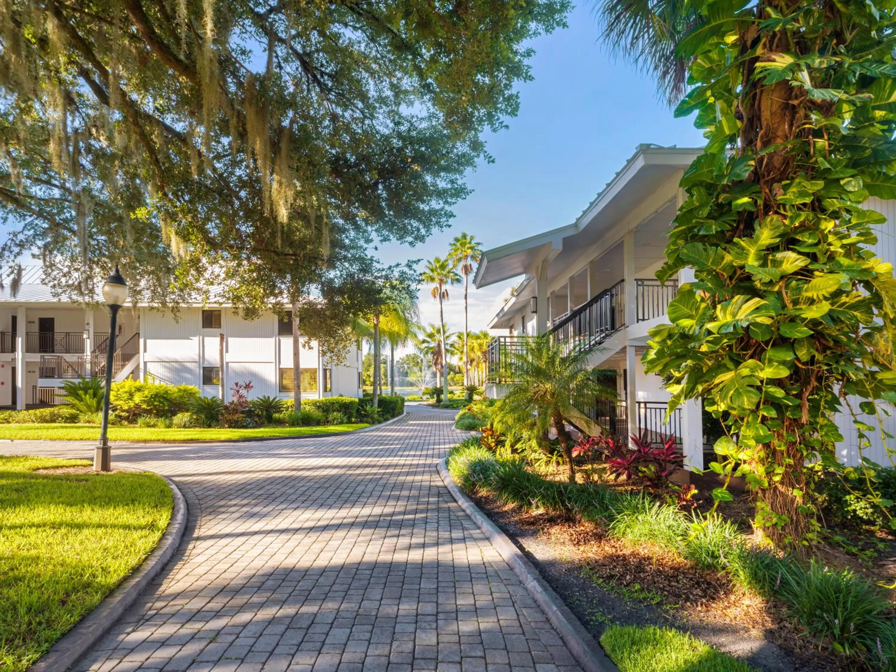 Property building in Saddlebrook Resort