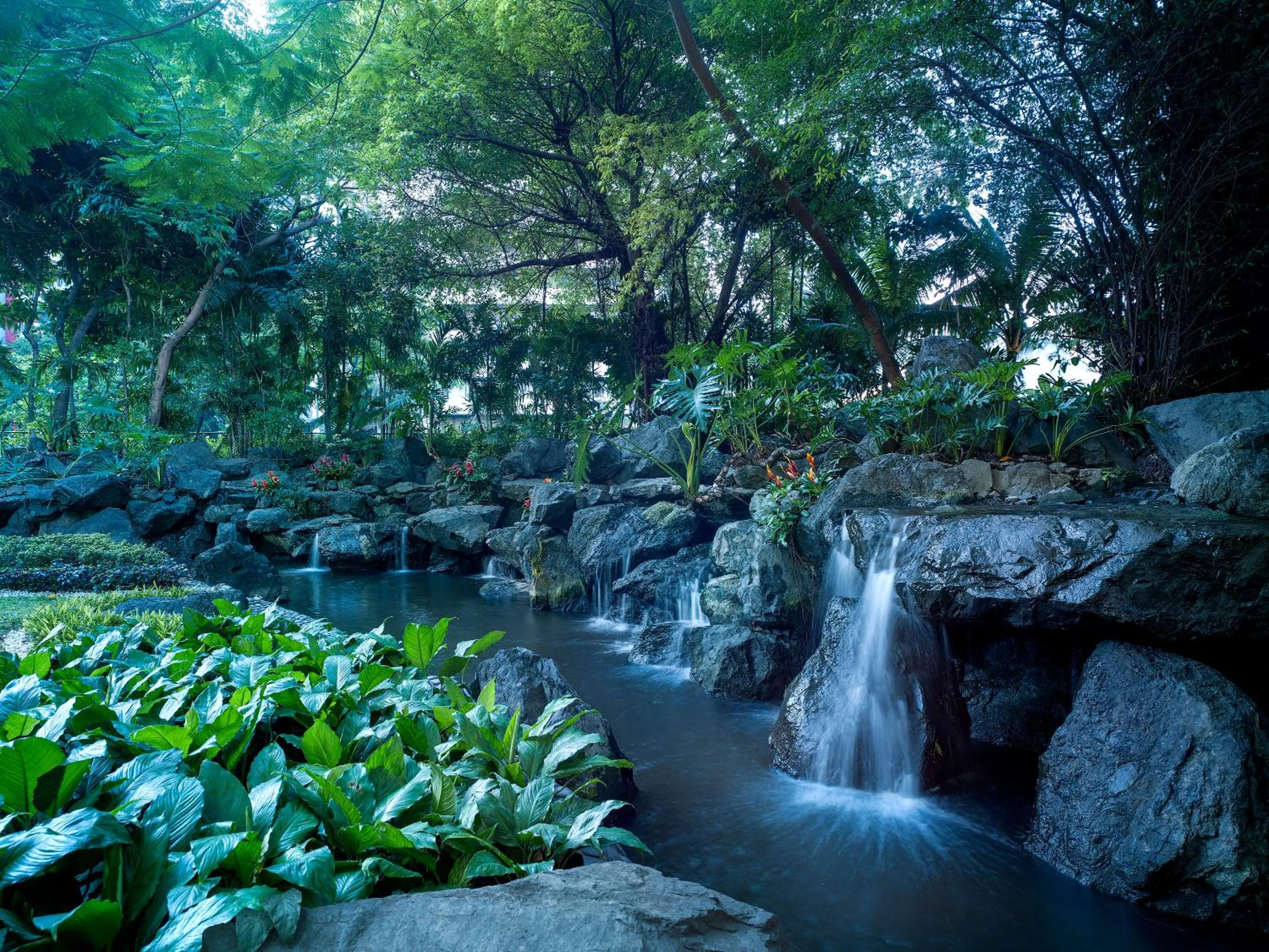 Garden in Makati Shangri-La, Manila
