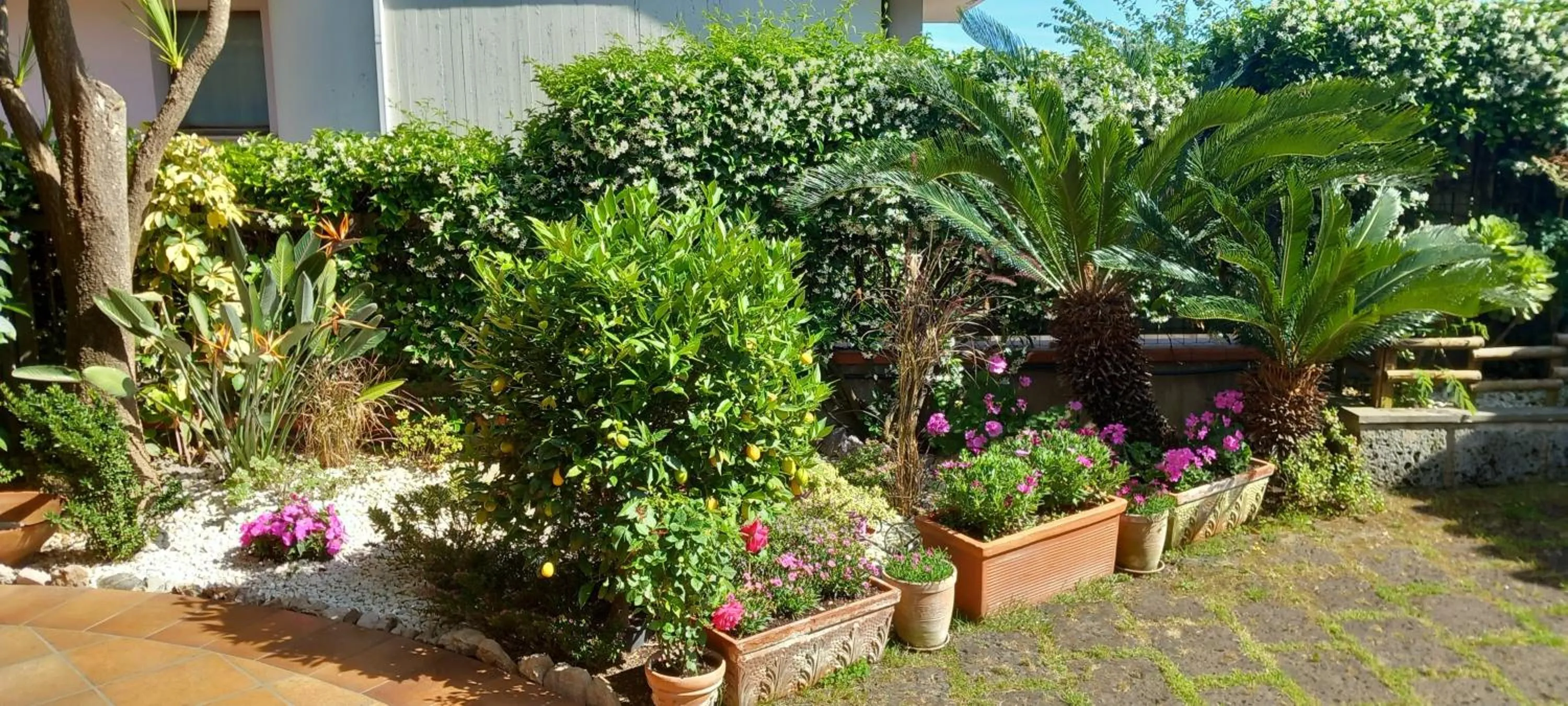 Garden view in B&B Villa Noemi