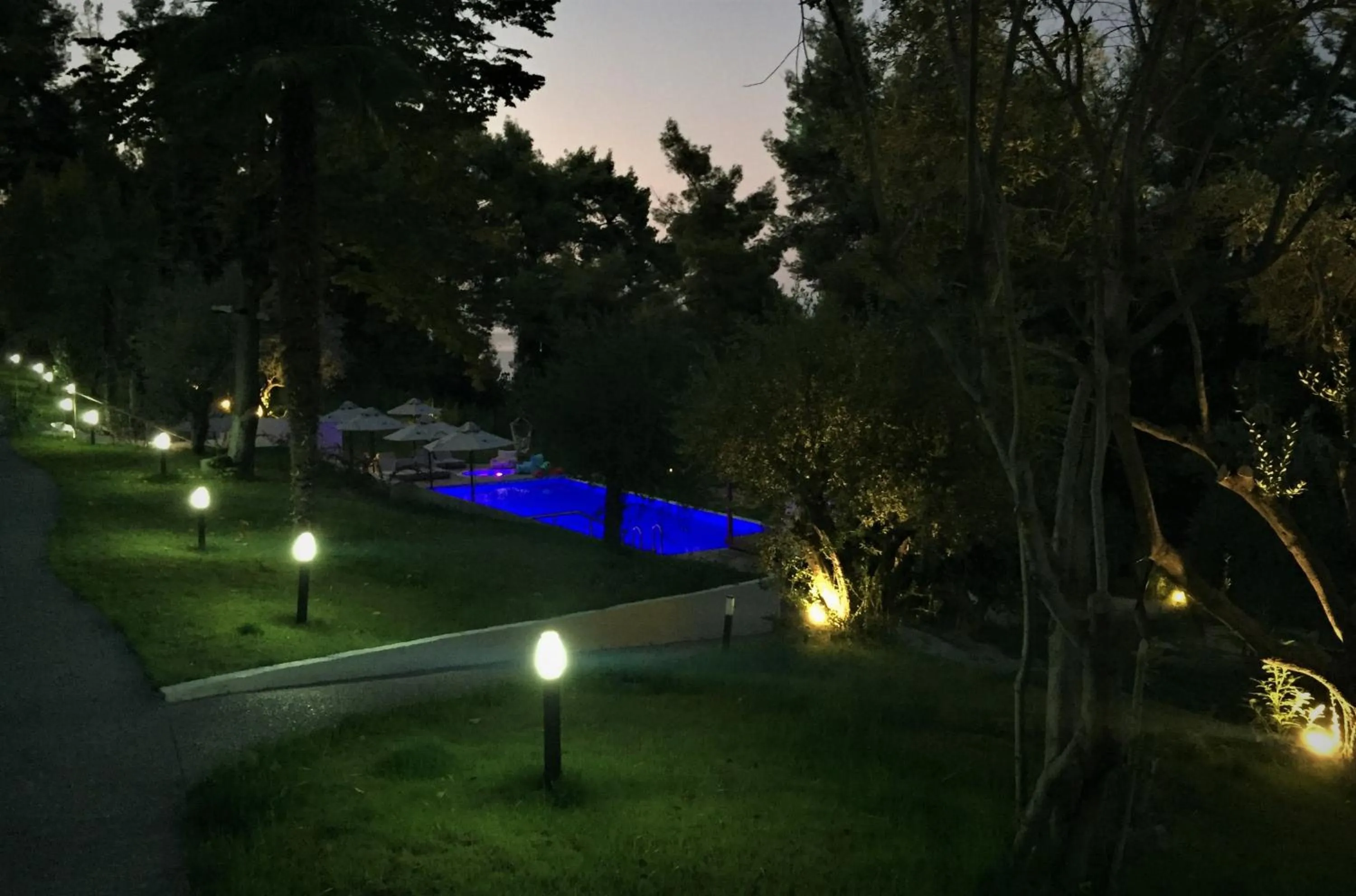 Night in Avatel Eco Lodge