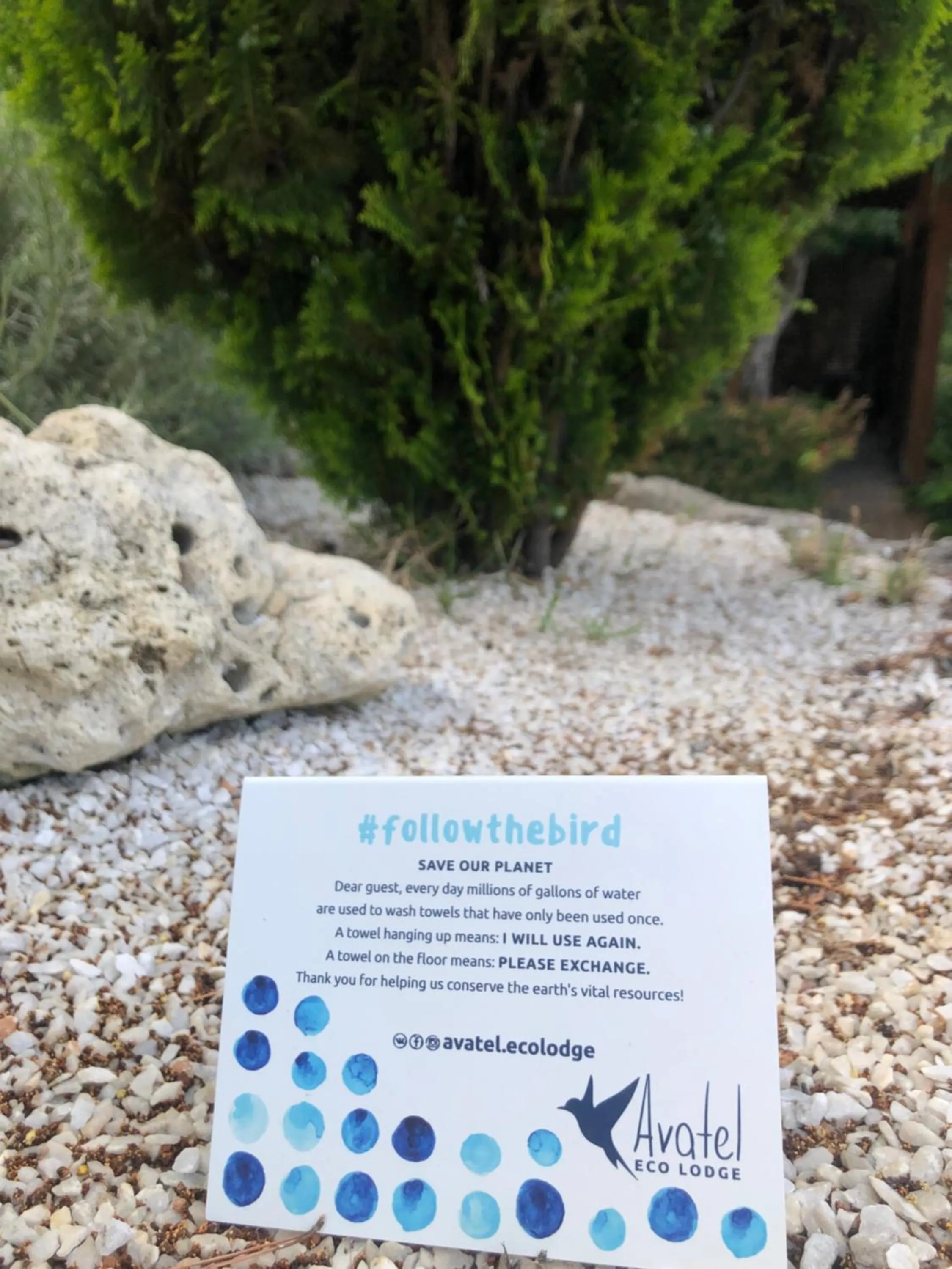 Text overlay in Avatel Eco Lodge