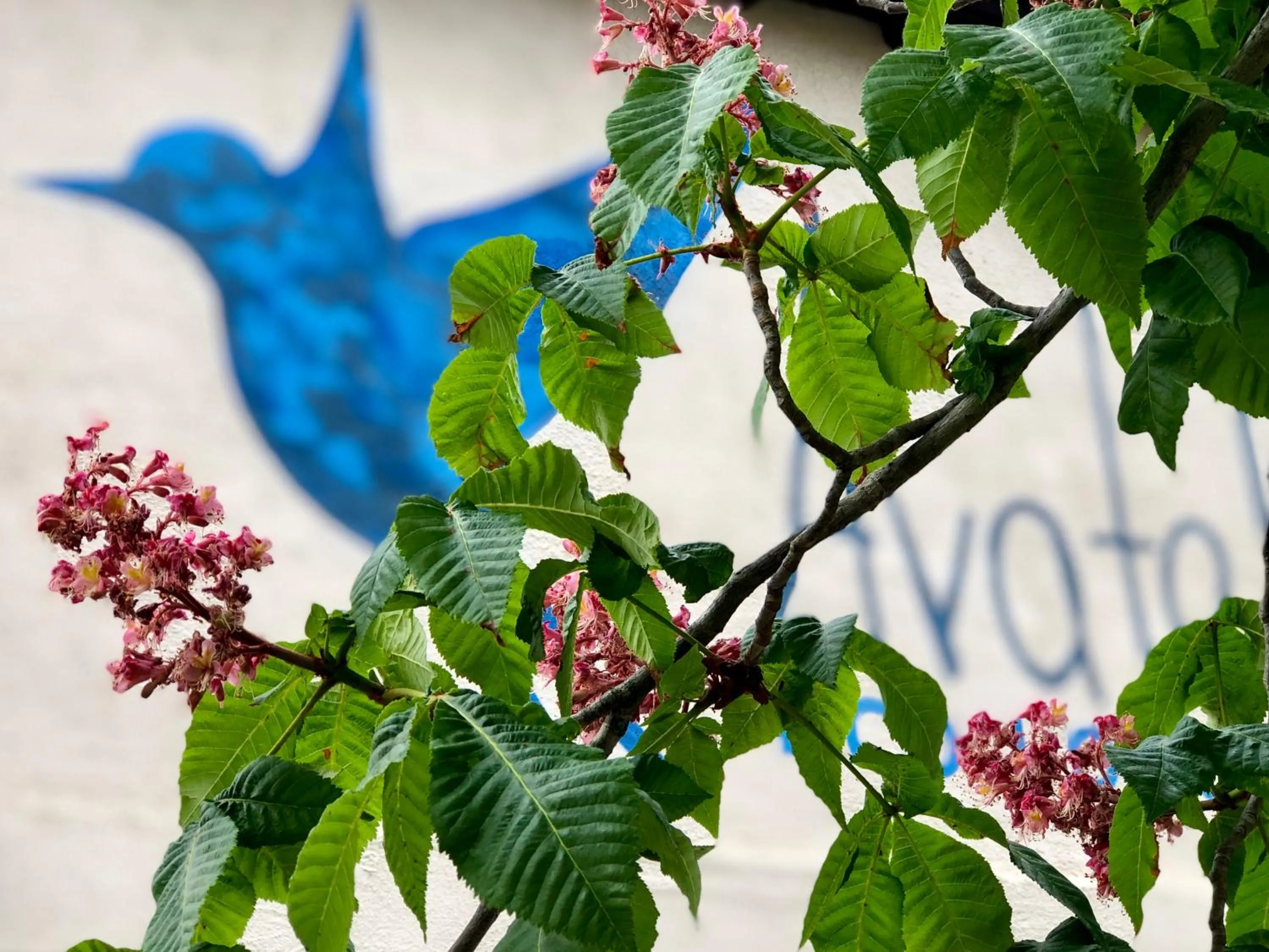 Property building in Avatel Eco Lodge