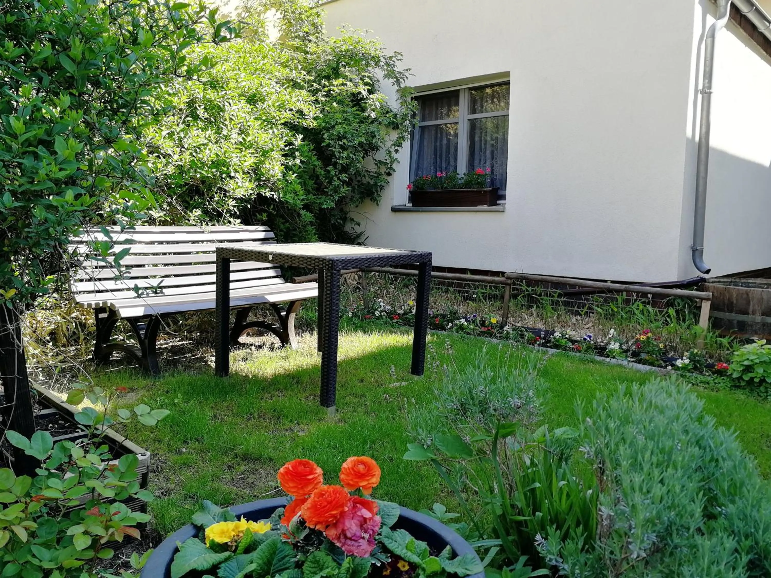Garden in Ferienwohnung Pohle-Priske Radebeul