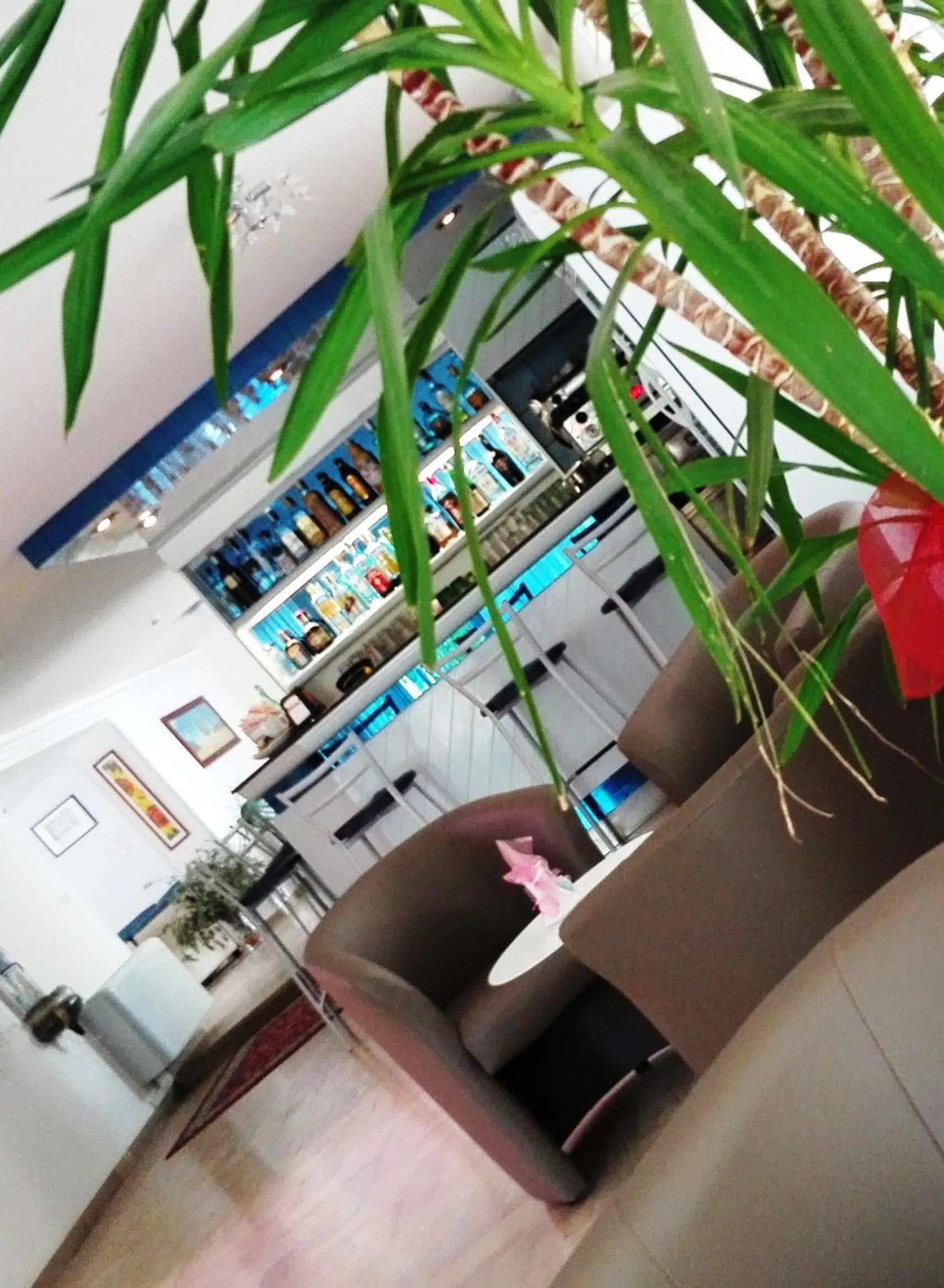 Children play ground in Hotel Arabesco