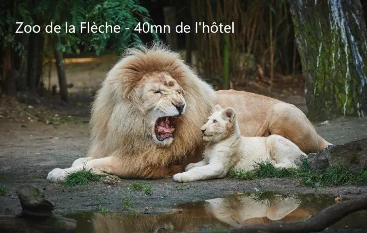 Hôtel-Restaurant Ricordeau