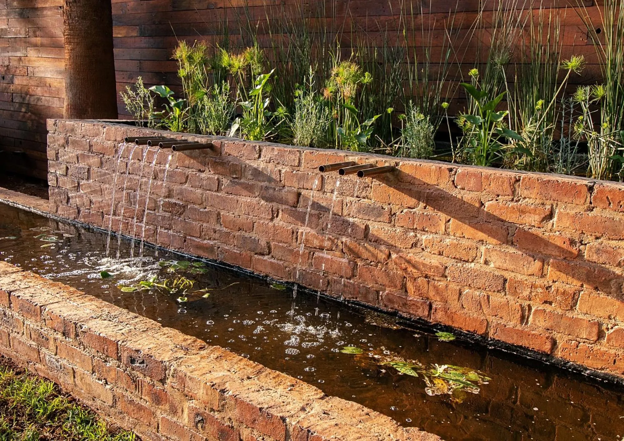 Swimming pool in The Doors Inn