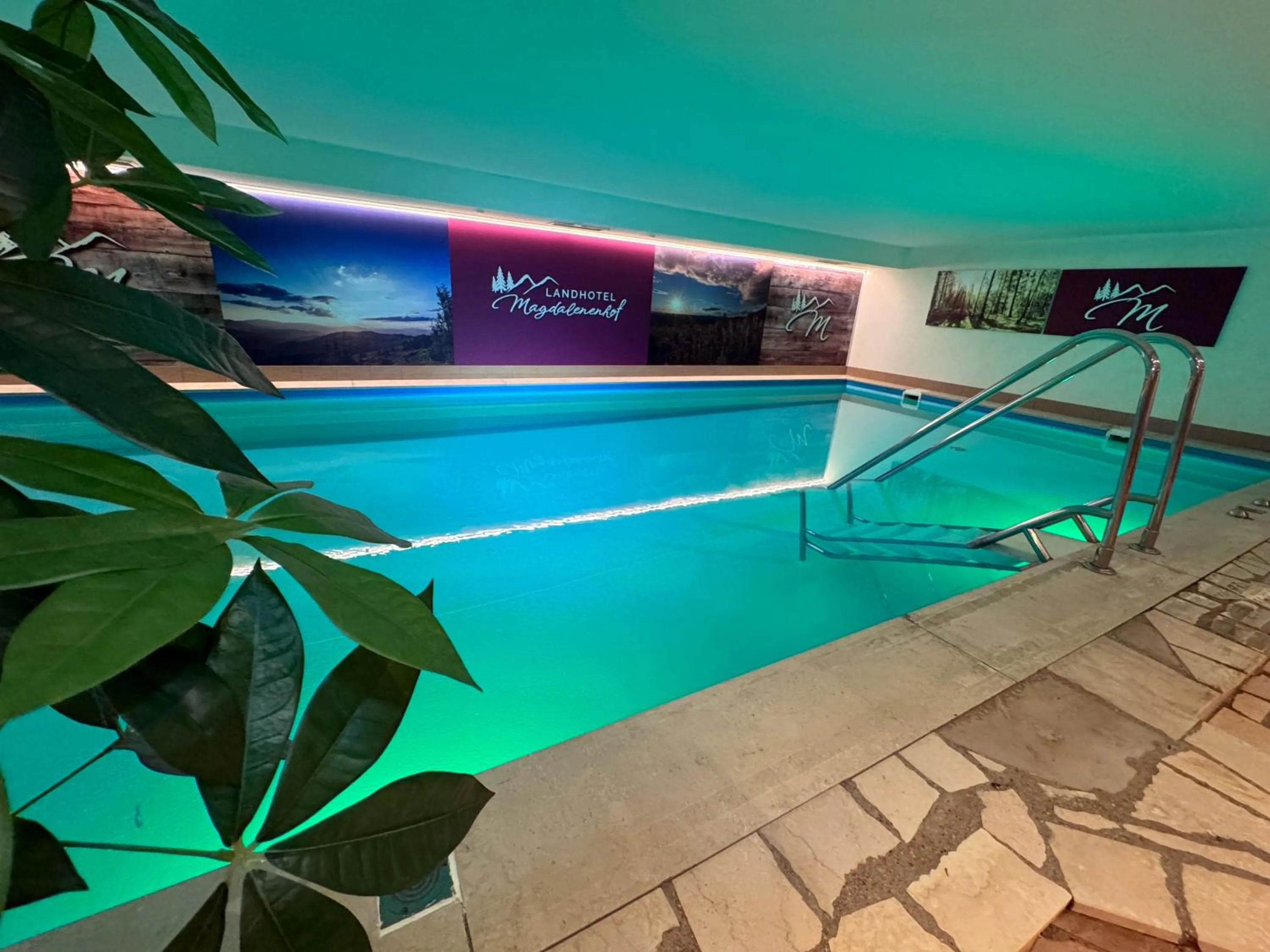 Swimming pool in Landhotel Magdalenenhof GbR