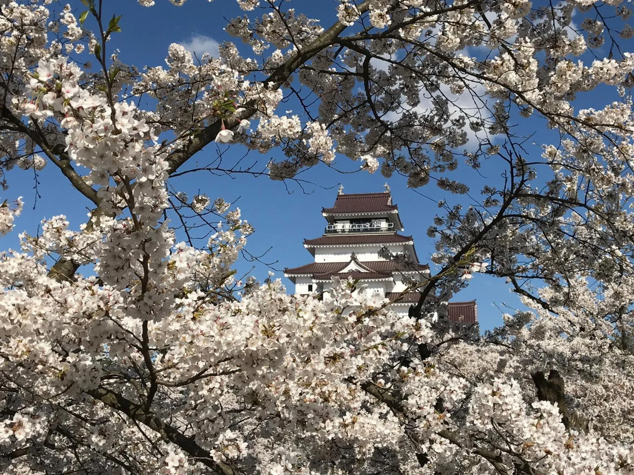 Spring in Niko Ryokan