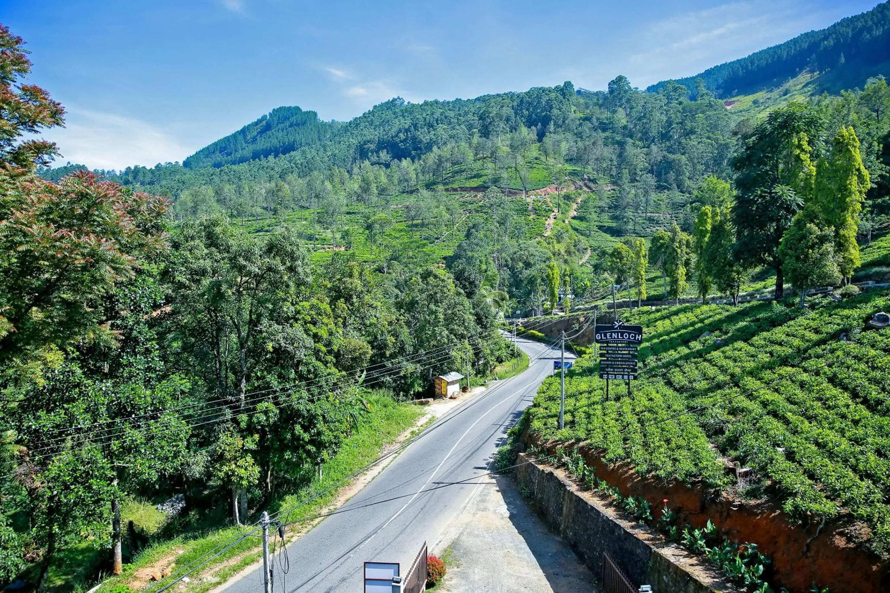 City view in Glenloch Tea Factory Hotel