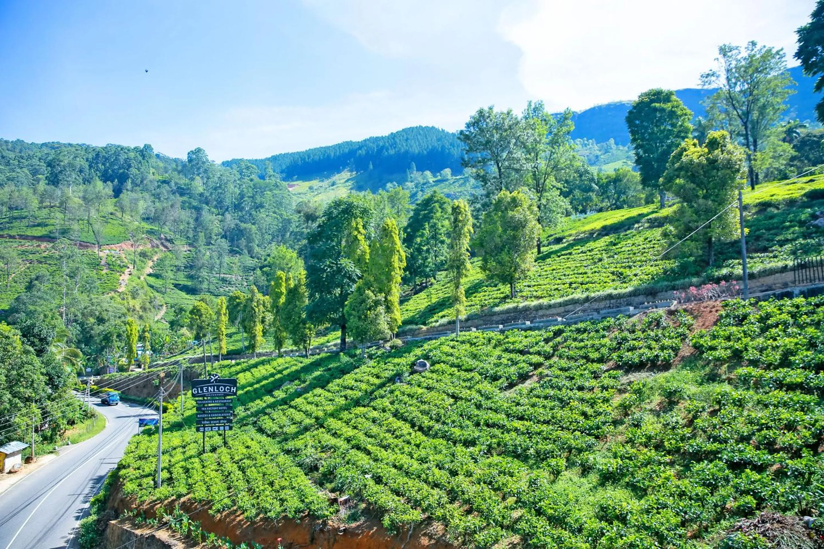 Natural landscape in Glenloch Tea Factory Hotel