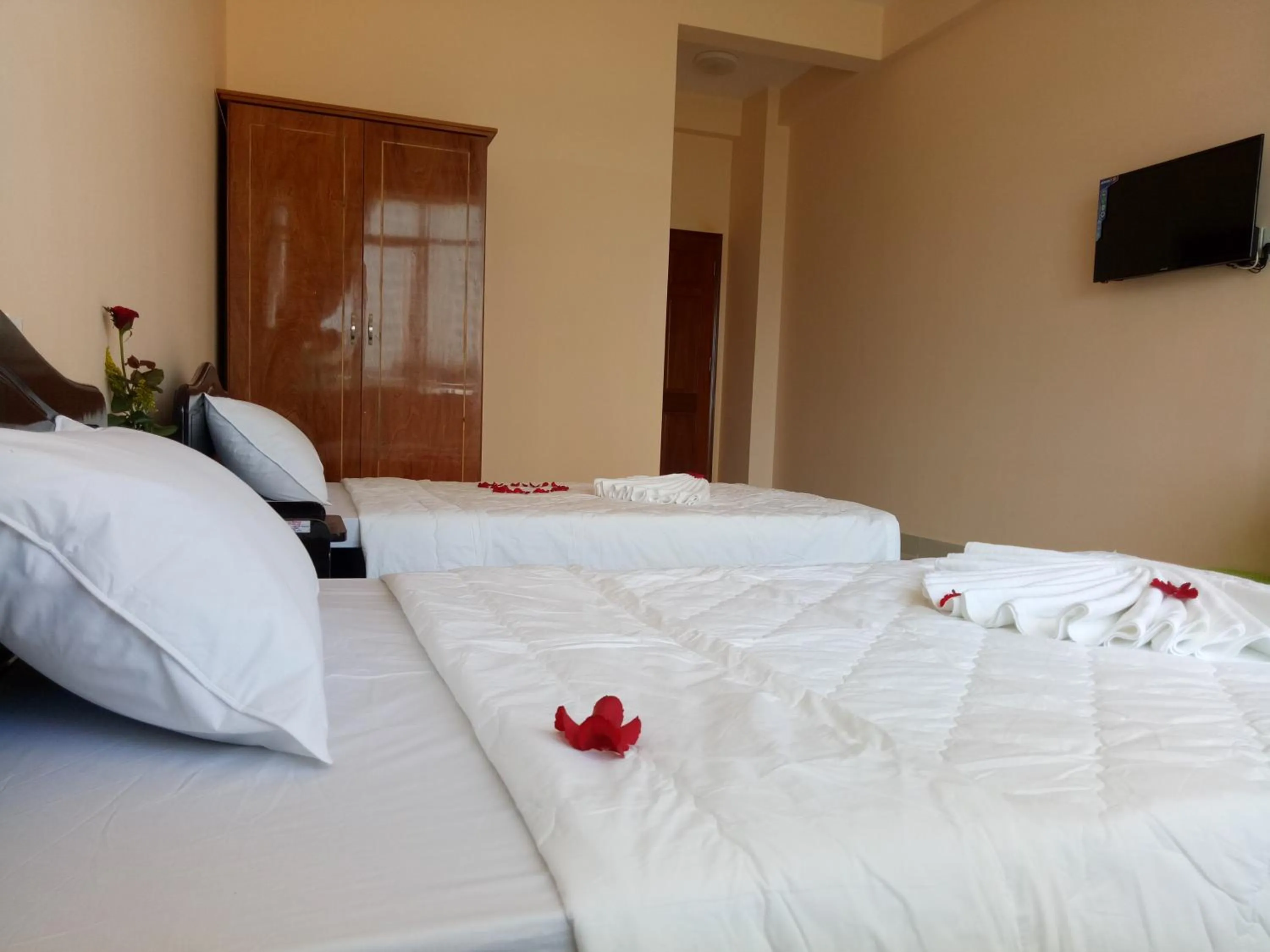 Bed in Thanh Nien Hotel - Vung Tau