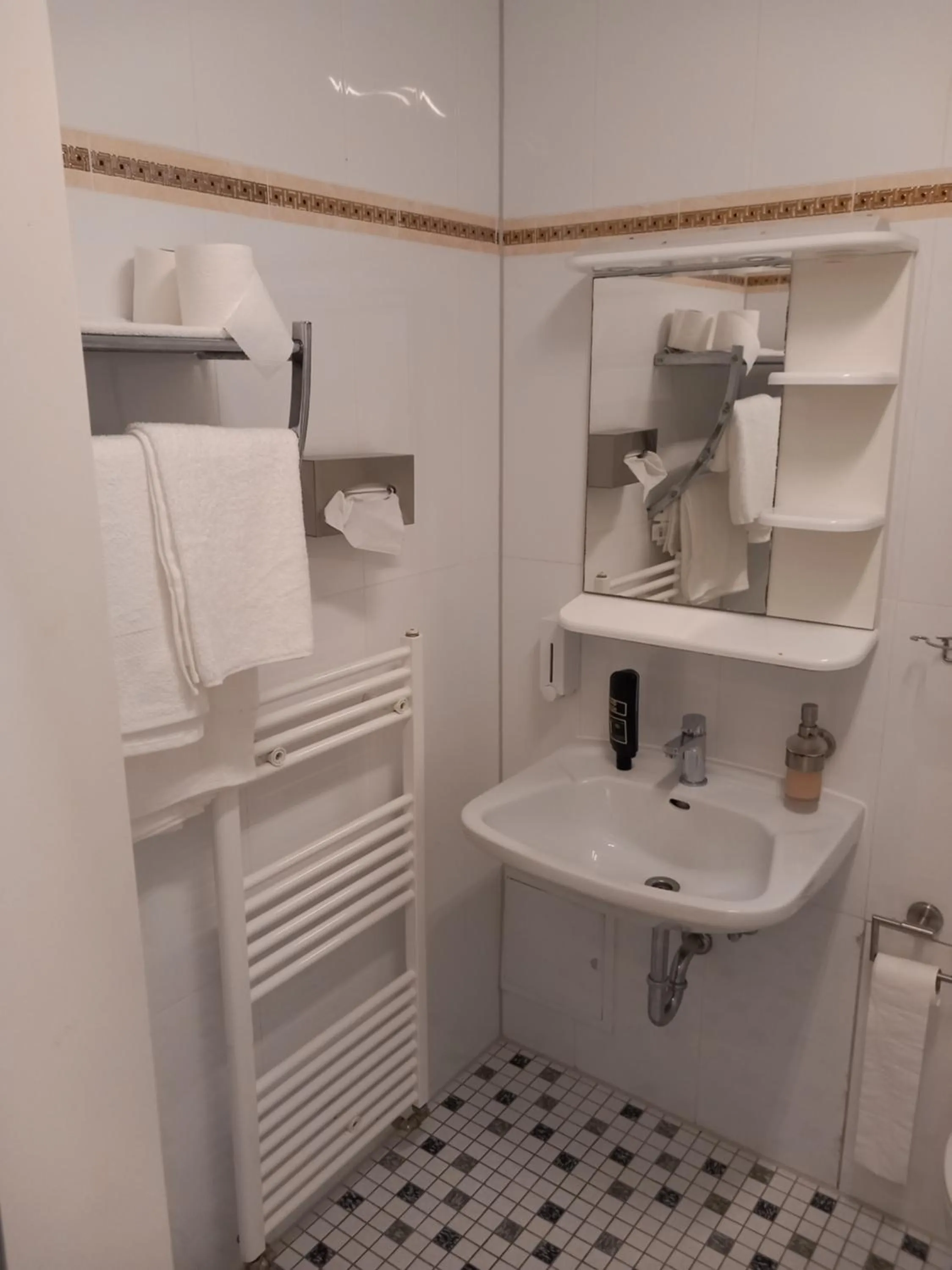 Bathroom in Hotel Hafez